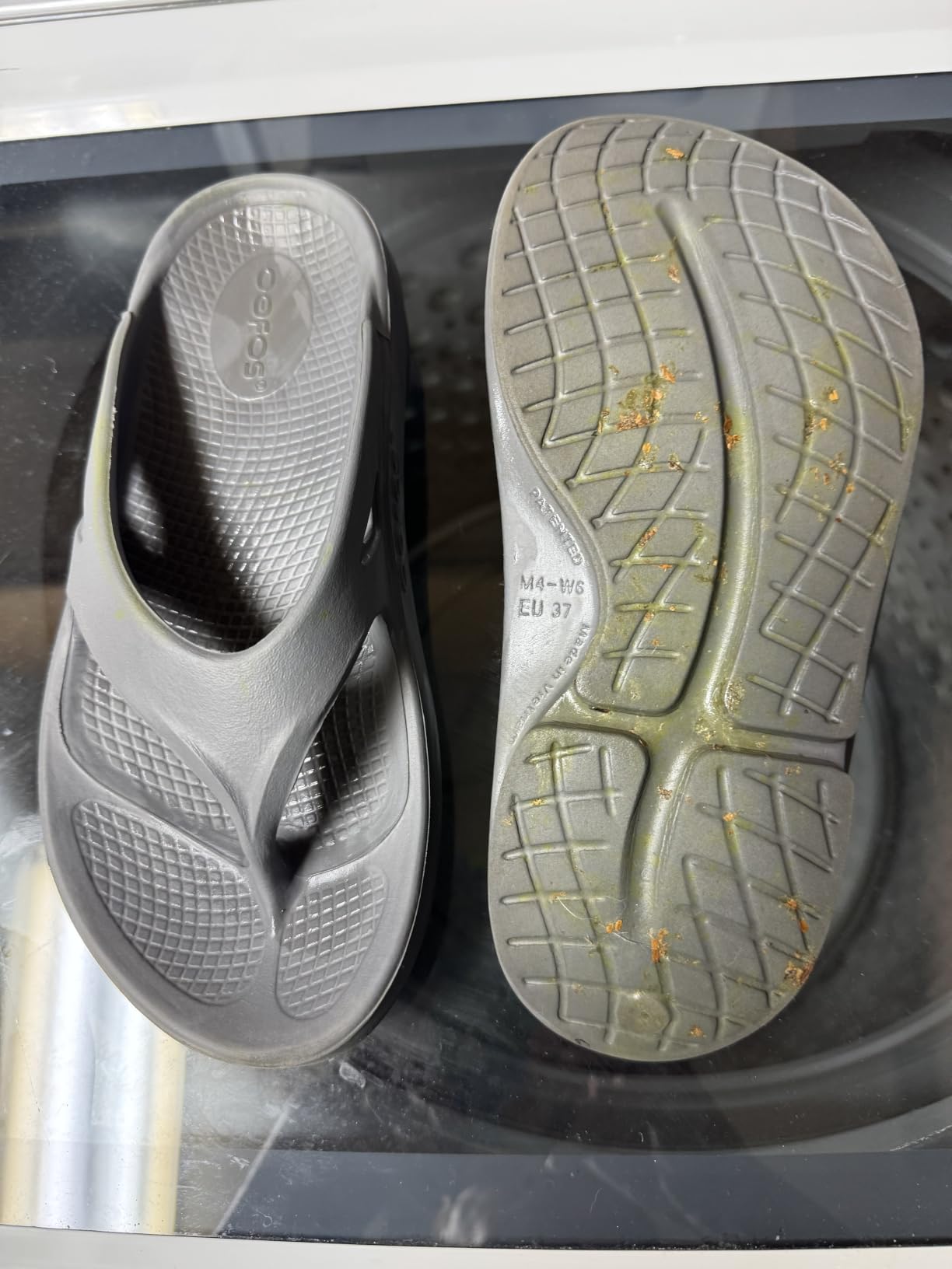 OOFOS OOriginal Recovery Sandal - Women's and Men's customer photo 1