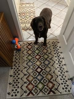 SAFAVIEH Area Rug 8x10 - Amsterdam Collection - Large - Ivory & Multi, Moroccan Boho Design, Non-Shedding & Easy Cleaning, Ideal for Living Room, Bedroom, Office, Dining Space (AMS108K) customer photo 2