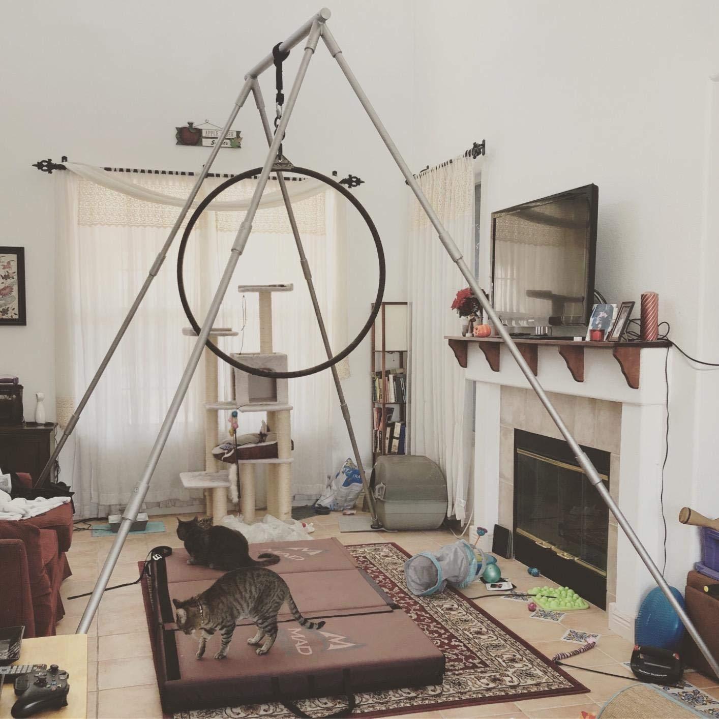 Yoga Trapeze Versatile Fitness Yoga Stand for Home & Outdoor | Easy 5-Min Setup | Supports Yoga Aerial Silks, Swings, Hammocks, Olympic Rings | Stable Solid Aluminum Supports Max 600lbs customer photo 2