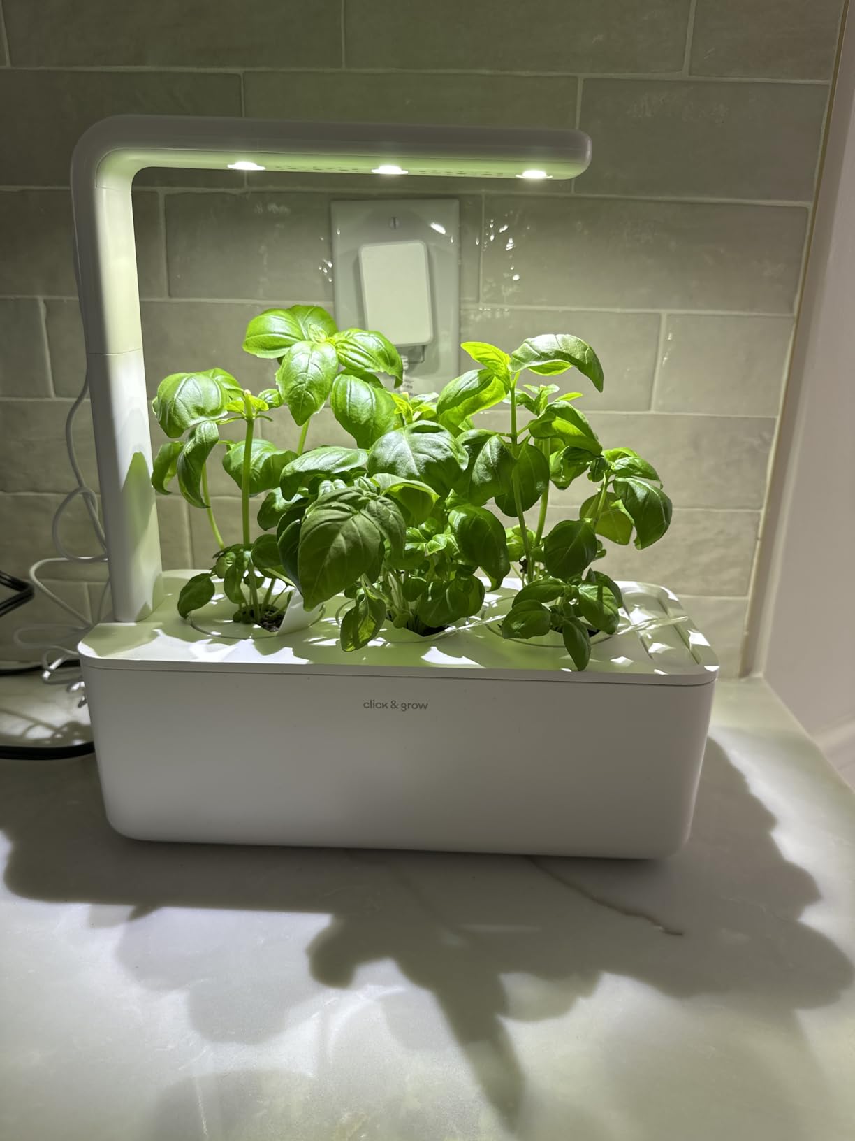 Click & Grow Indoor Herb Garden Kit with Grow Light | Smart Garden for Home Kitchen Windowsill | Easier Than Hydroponics Growing System | Vegetable Gardening Starter (3 Basil Pods Included), Grey customer photo 2