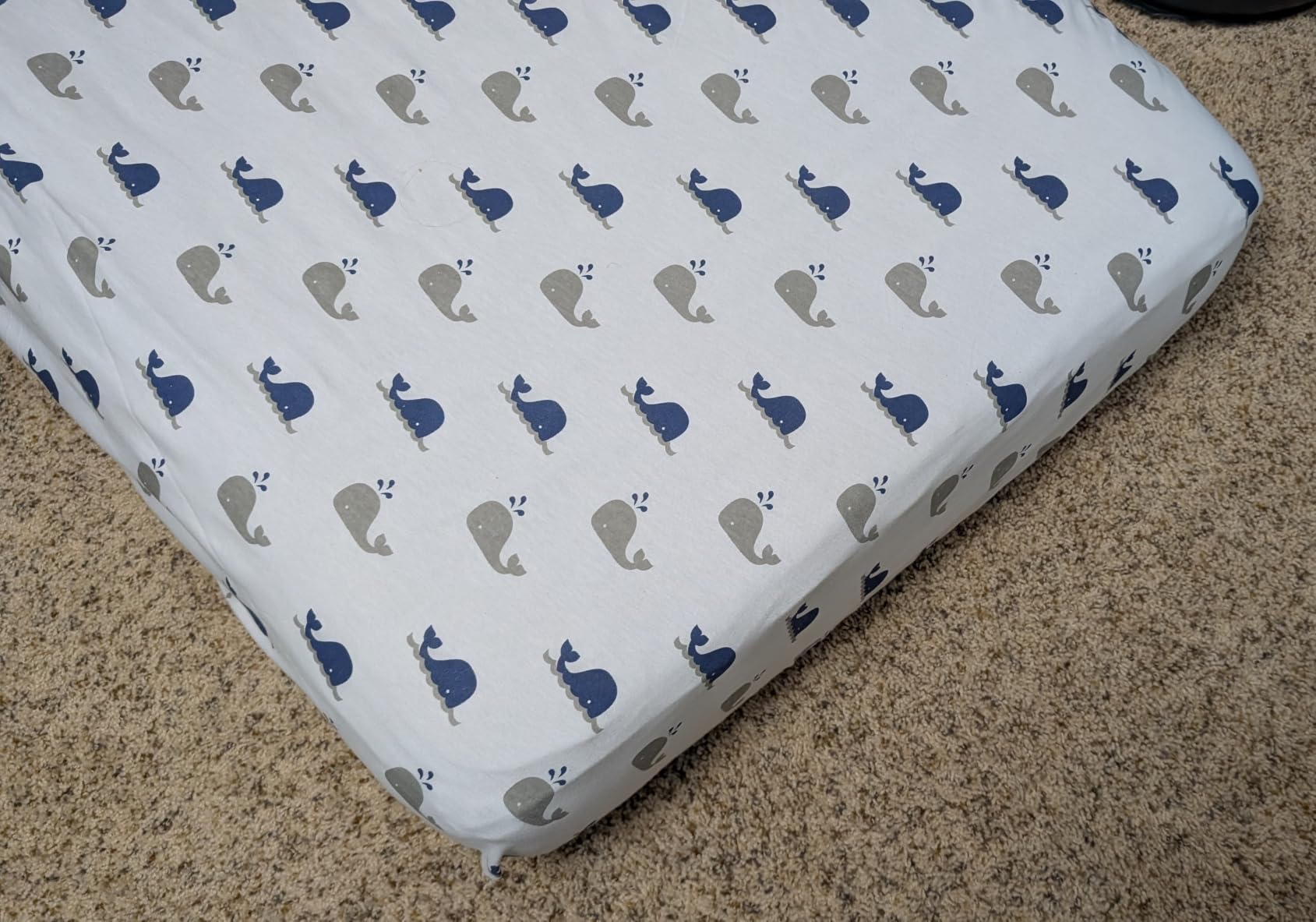 American Baby Company 2 Pack Fitted Crib Sheets 52x28