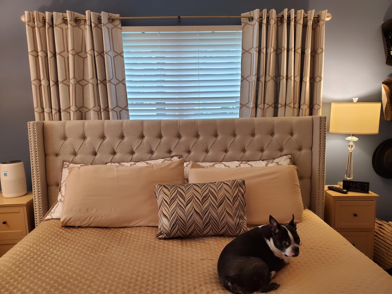 Madison Park Amelia Upholstered Headboard | Nail Head Trim Wingback Button Tufted | Queen, Cream customer photo 2