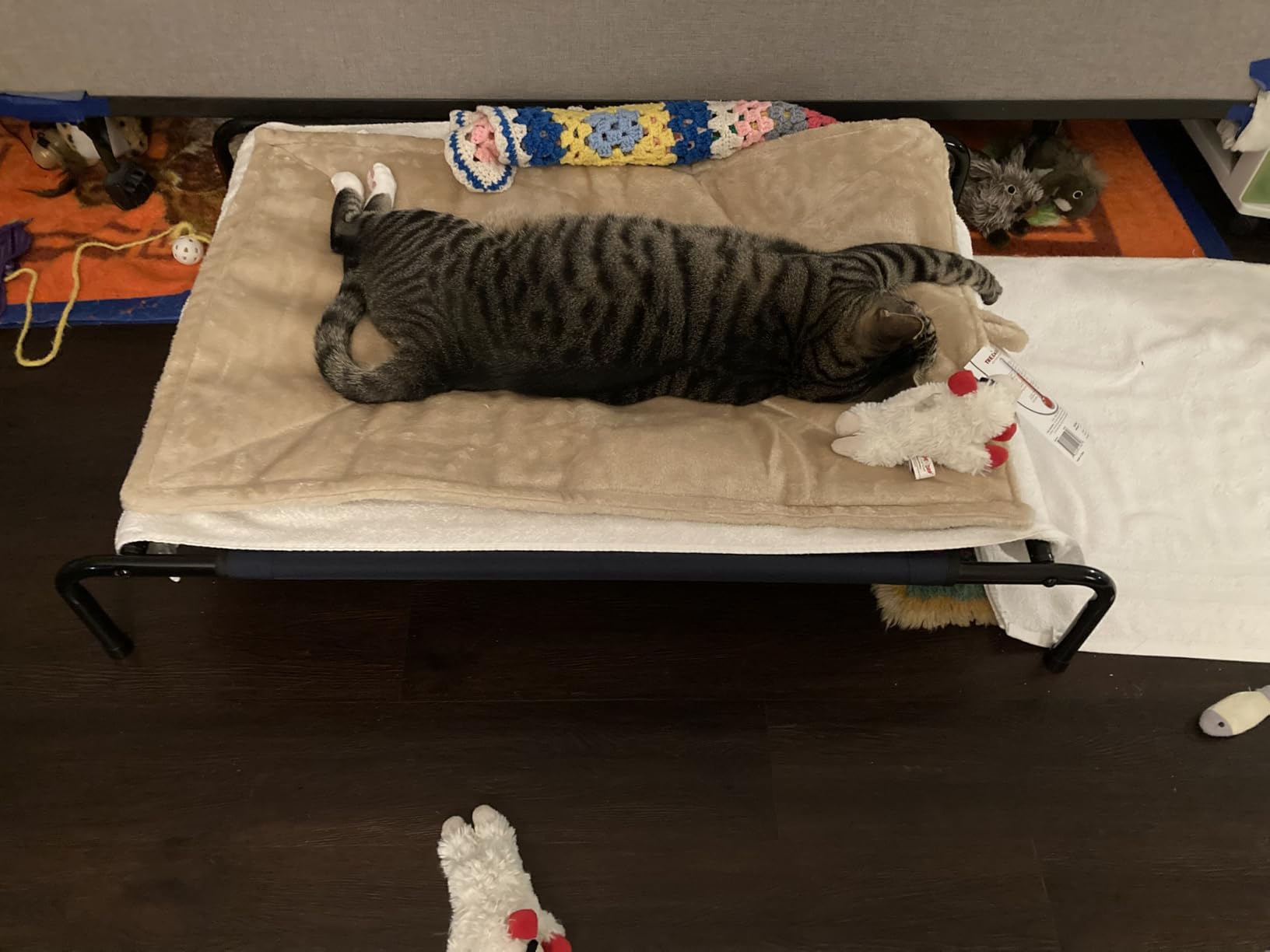 FurHaven ThermaNAP Self Warming Cat Mat, Dog Bed for Crates with Self-Warming Technology for Cozy Rest, Fully Machine Washable, Small, Plush Faux Fur, Gray customer photo 1