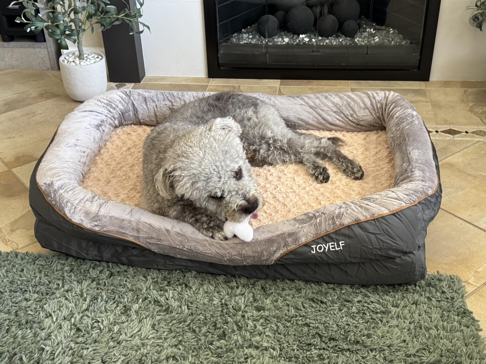 JOYELF Large Memory Foam Dog Bed, Orthopedic Dog Bed & Sofa with Removable Washable Cover and Squeaker Toy as Gift customer photo 2
