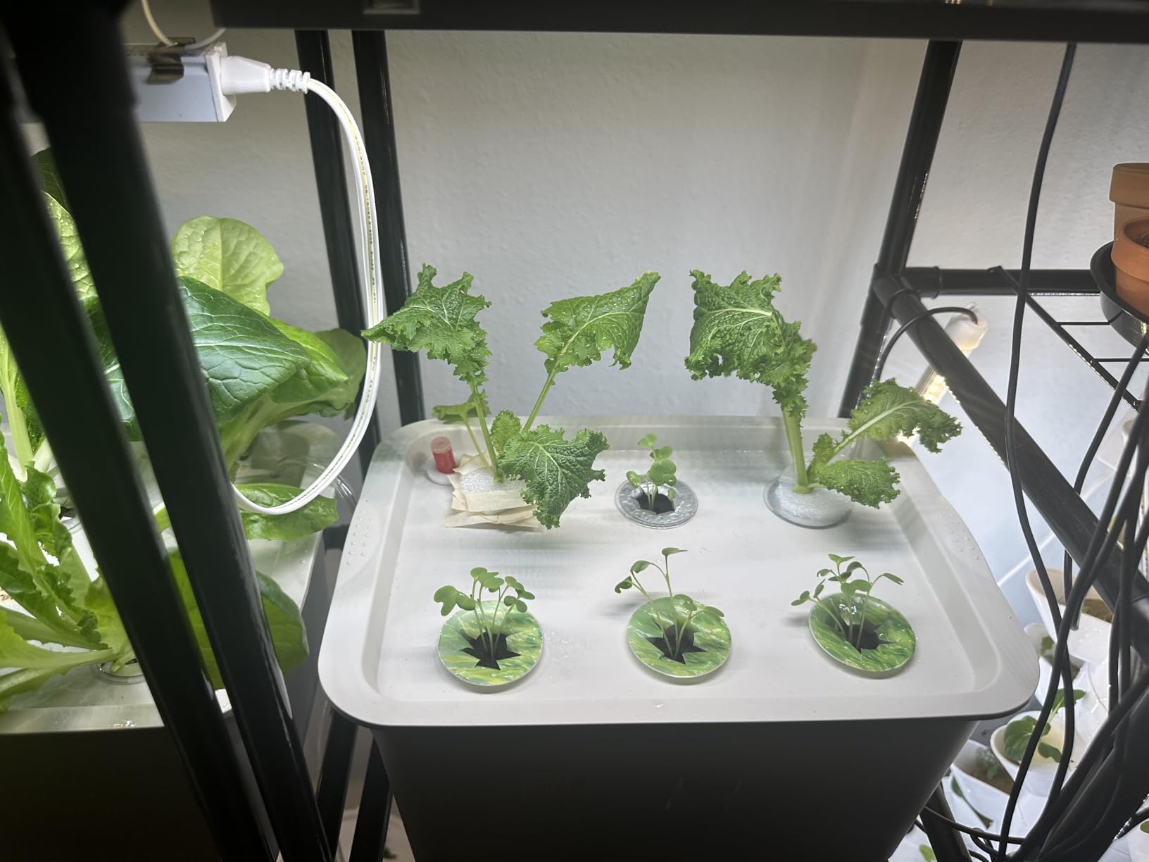 Hydroponics Grower Kit DIY Self Watering Indoor Hydroponics Tools Hydroponic System Planting Container Include Aquarium Air Pump Buoy Planting Box customer photo 2