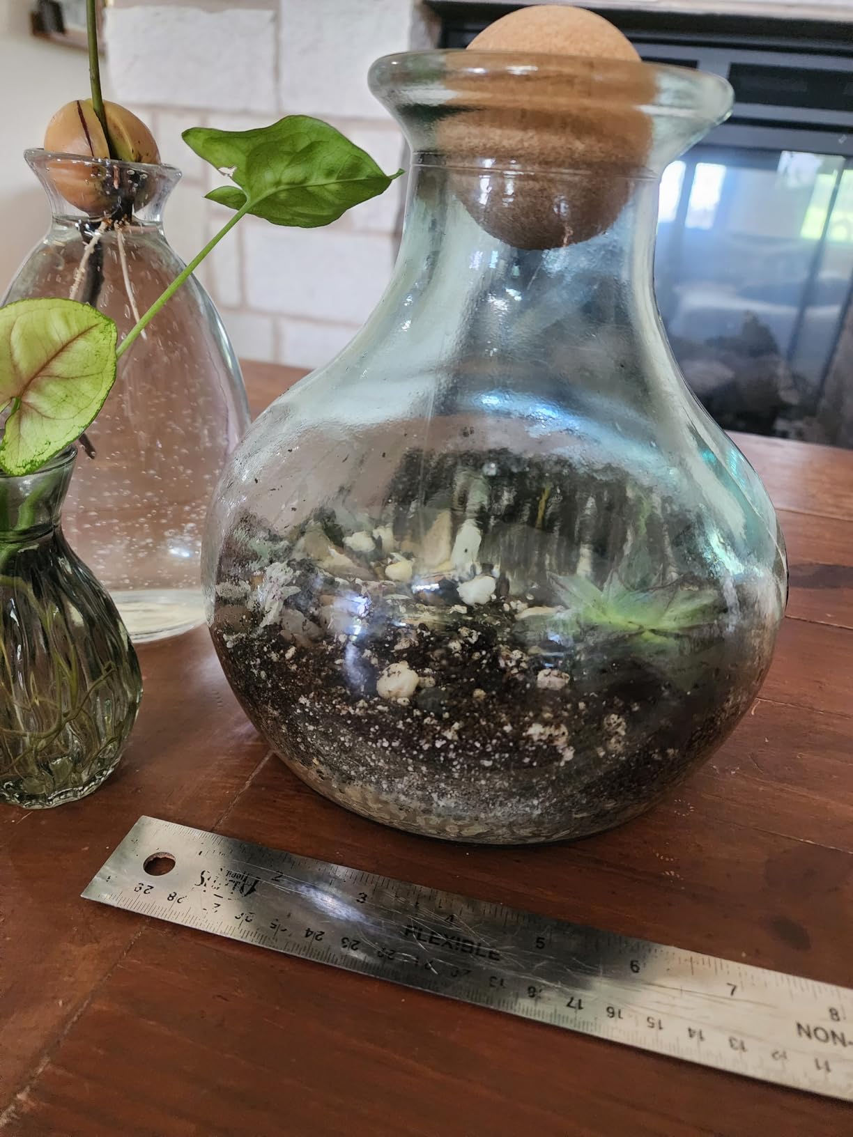 Succulent Planter Kit - Terrarium Kit with Succulent Soil, Gravel, Pebble, Moss customer photo 2