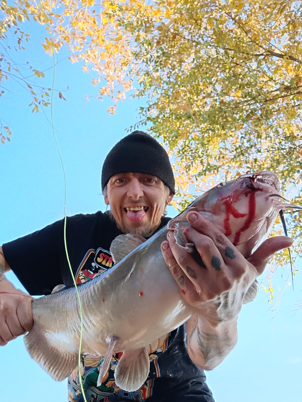 KastKing Sharky Baitfeeder III Spinning Reels with 5.5:1 Gear Ratio | Max Drag: 26.5 lb, 10+1 BB, 16.6 oz, CNC Aluminum Spool, Carbon Fiber Drag for Live Liner, Comes with Graphite Spool customer photo 2