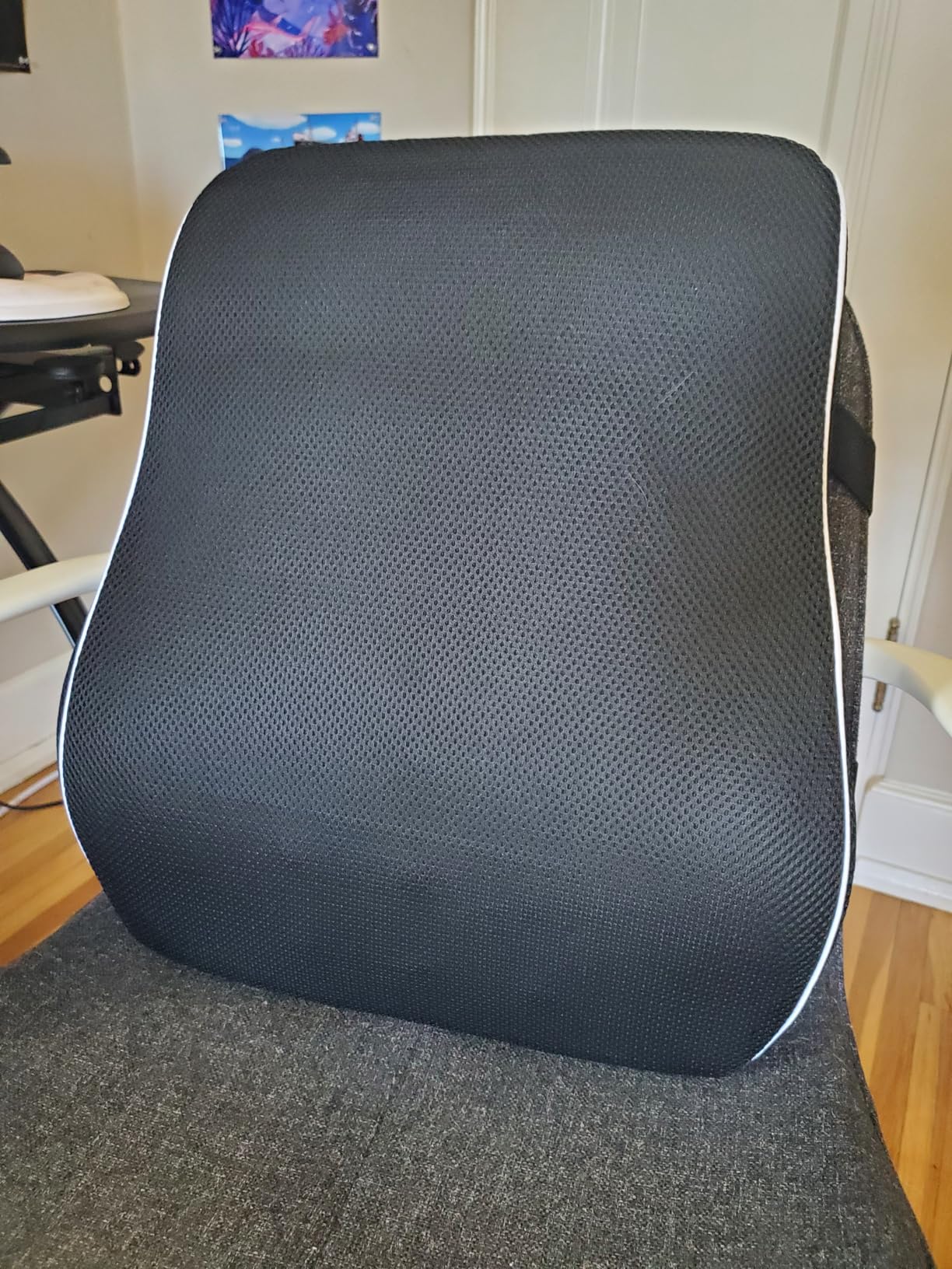 Lumbar Support Pillow for Office Chair, Back Support Pillow for Car, Chair Cushions, Back Pain Relief Improve Posture, Mesh Cover Double Adjustable Straps customer photo 2