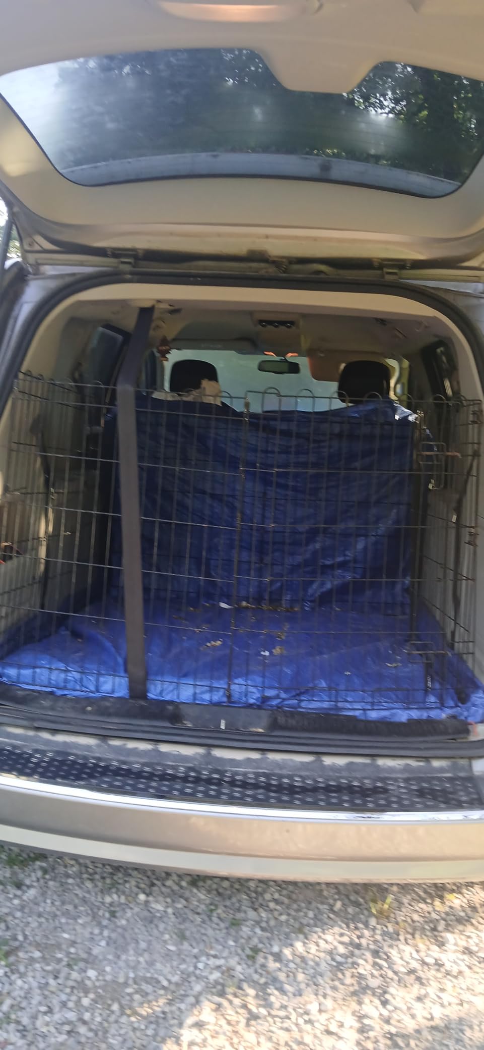 Amazon Basics Portable Foldable Octagonal Metal Exercise Dog Playpen, Indoor/Outdoor Pet Fence with Single Door, 8 Panels, Small, 30 Inches, Black customer photo 1