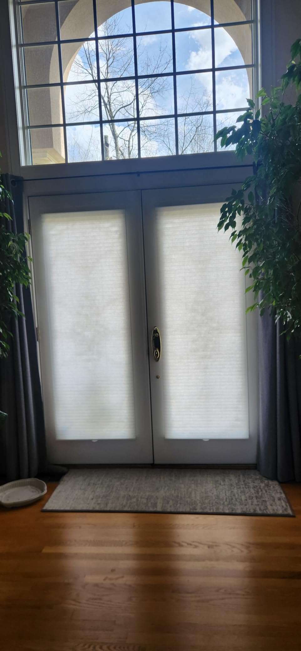 CHICOLOGY Cellular Shades - Cordless Window Blinds, Shades for Home & Doors - Morning Mist, 46