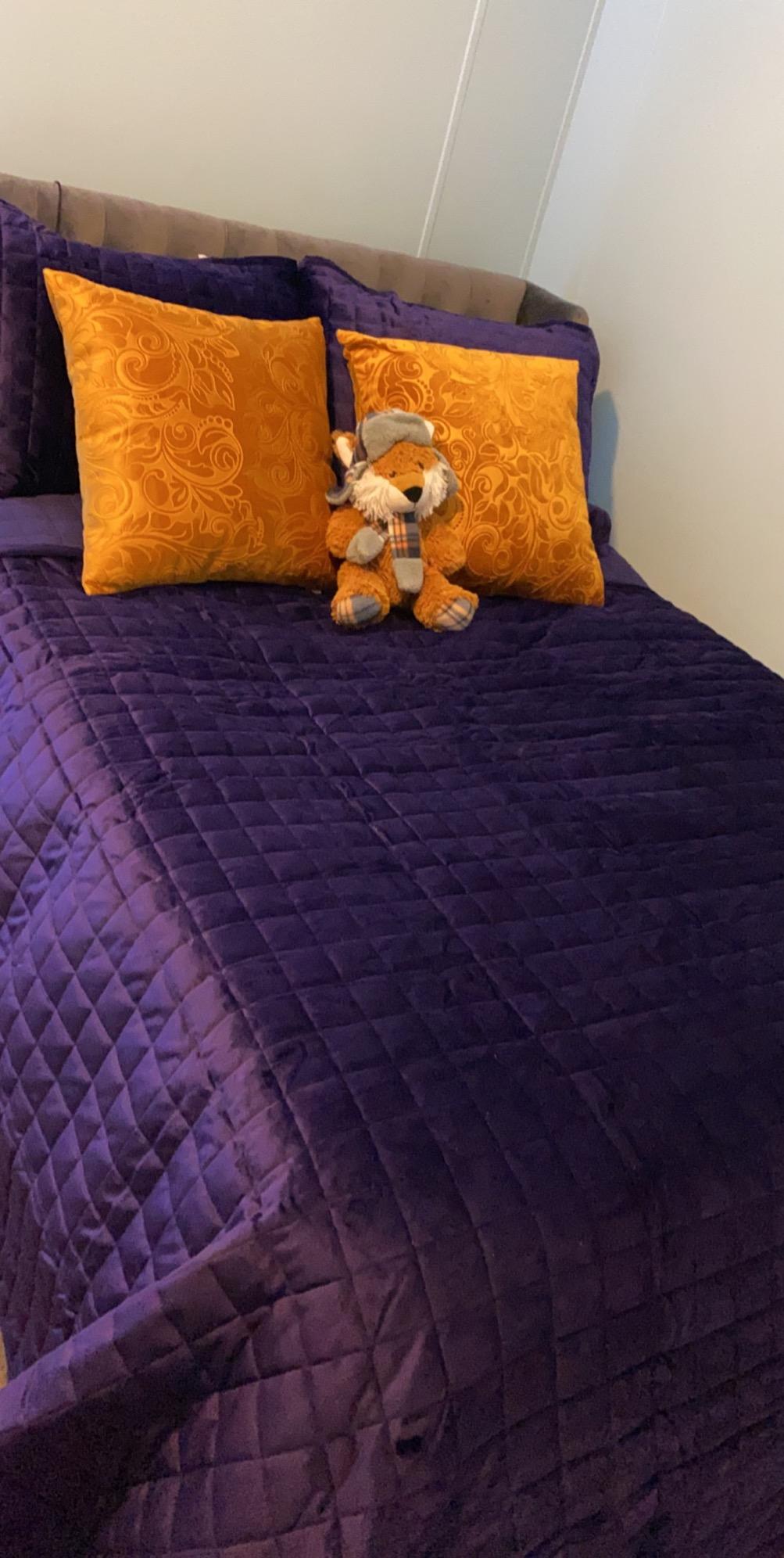 Tribeca Living Luxury Velvet Quilt Queen Size Set - 260GSM Ultra-Soft Oversized Velvet Bedspread Comforter Set with 2 Shams, in Florence Taupe customer photo 1