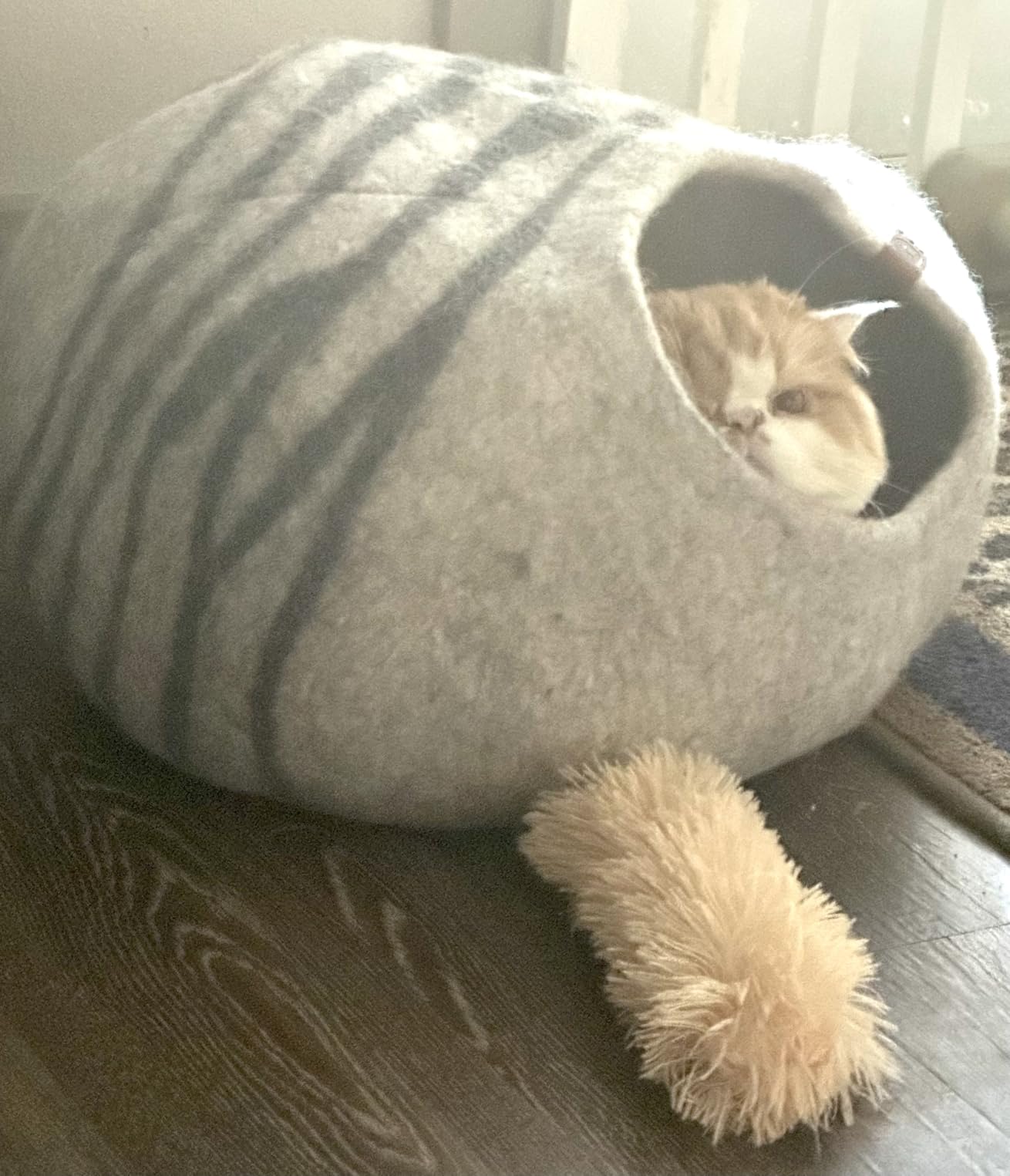 Cat Cave - Merino Wool Bed for Indoor Cats (Dark Gray, Medium) | Cat Bed Enclosure, Premium Felt, Handmade, Super Soft, Lightweight, Breathable, Adjustable Shape customer photo 1