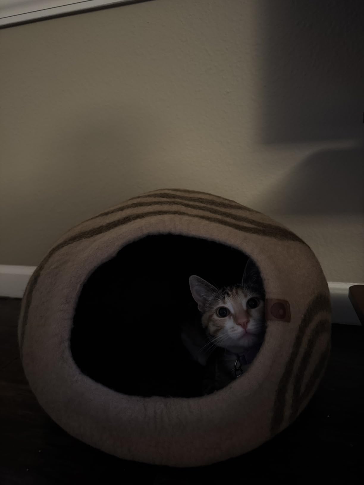 Cat Cave - Merino Wool Bed for Indoor Cats (Dark Gray, Medium) | Cat Bed Enclosure, Premium Felt, Handmade, Super Soft, Lightweight, Breathable, Adjustable Shape customer photo 2