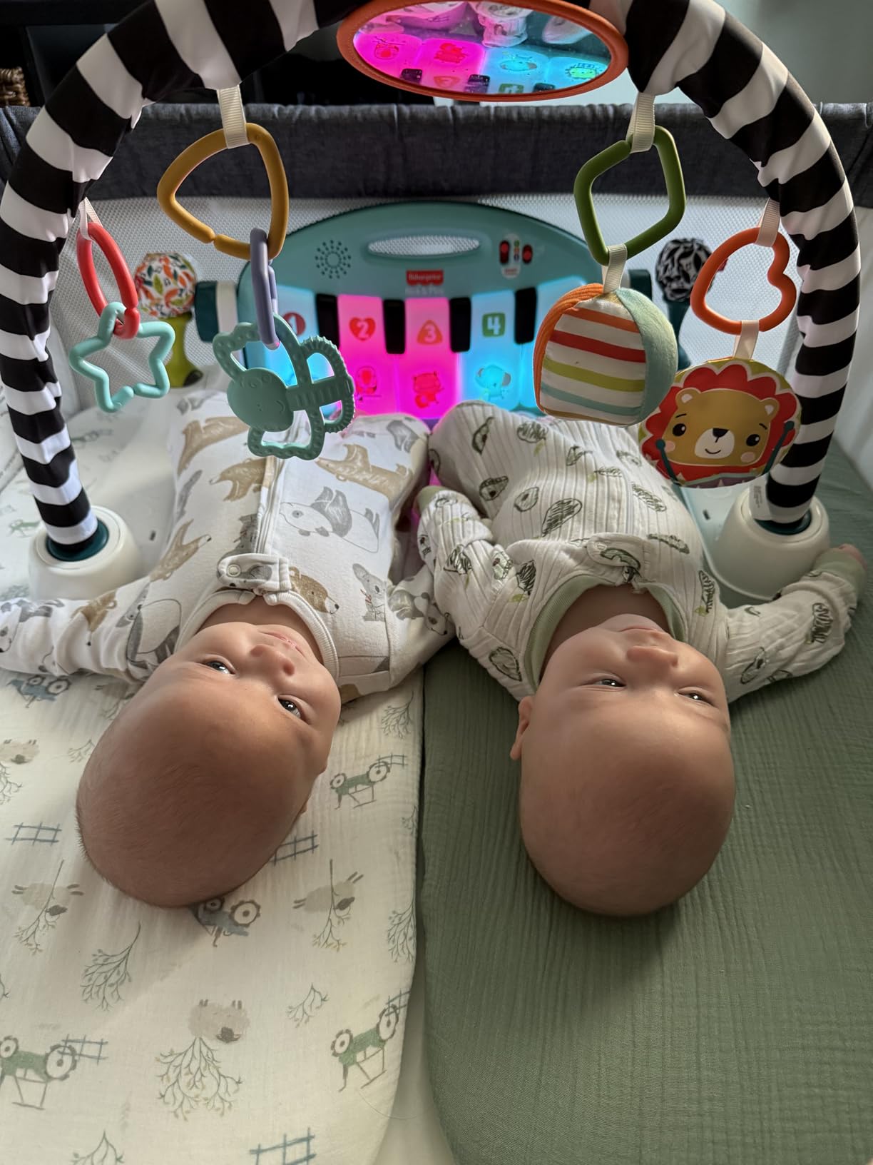 Fisher-Price Baby Playmat Deluxe Kick & Play Piano Gym for Learning & 2 Maracas Soft Rattles for Newborn to Toddler Play Ages 0+ Months customer photo 1