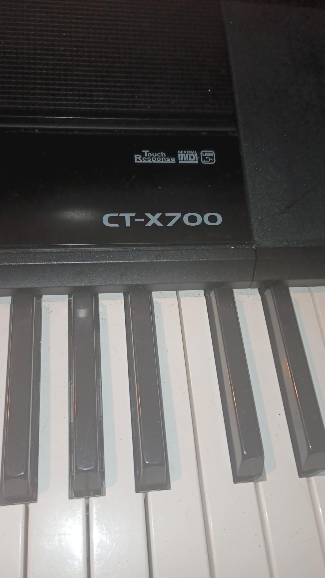Casio CT-X700 61-Key Portable Keyboard - 600 Tones, AiX Sound Engine, 195 Rhythms, for Musicians, Performers, Lessons and Everyday Practice customer photo 2