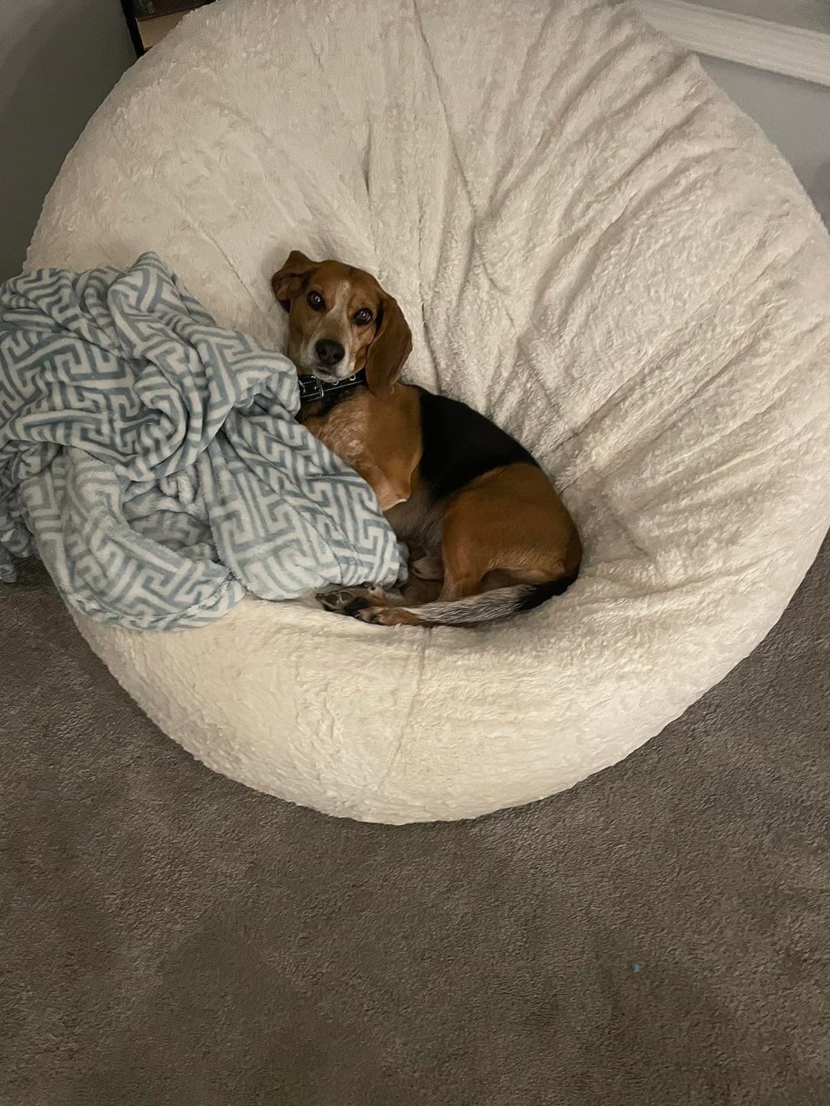 CordaRoy's Faux Fur Bean Bag Chair, Convertible Chair Folds from Bean Bag to Bed, As Seen on Shark Tank - Black, Full customer photo 1