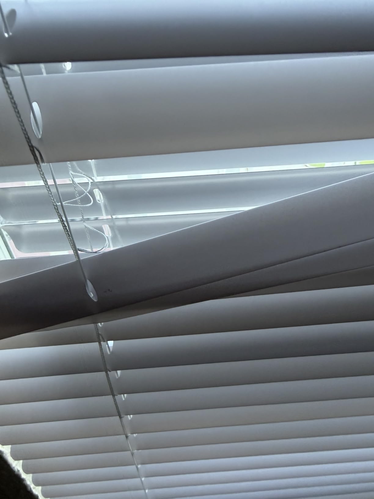 LOTUS & WINDOWARE Cordless Mini Blind, 1
