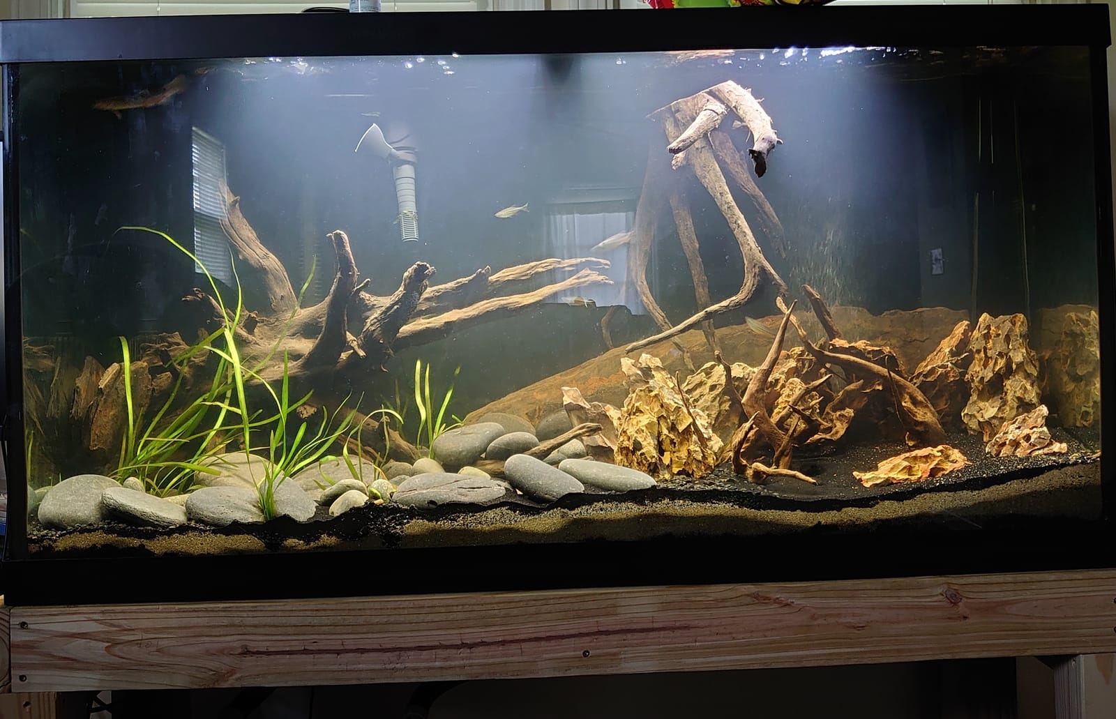 Fluval Plant 3.0 LED Planted Aquarium Lighting, 46 Watts, 36-46 Inches customer photo 1