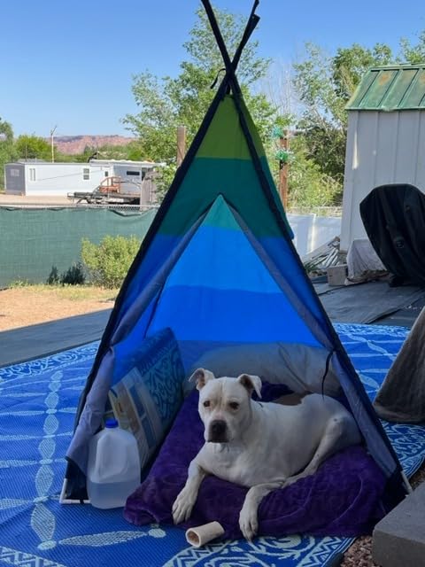 USA Toyz Happy Hut Teepee Tent for Kids - Indoor Pop Up Teepee Kids Playhouse Tents for Boys, Girls, Toddlers with Portable Storage Bag (Blue) customer photo 2
