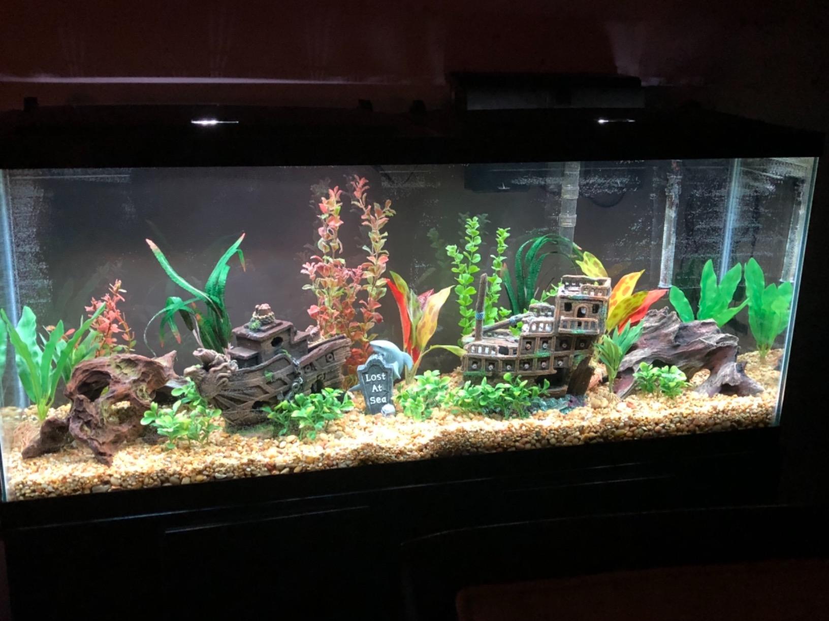 Tetra LED 55 Gallon Complete Fish Tank Kit for Freshwater Fish customer photo 2