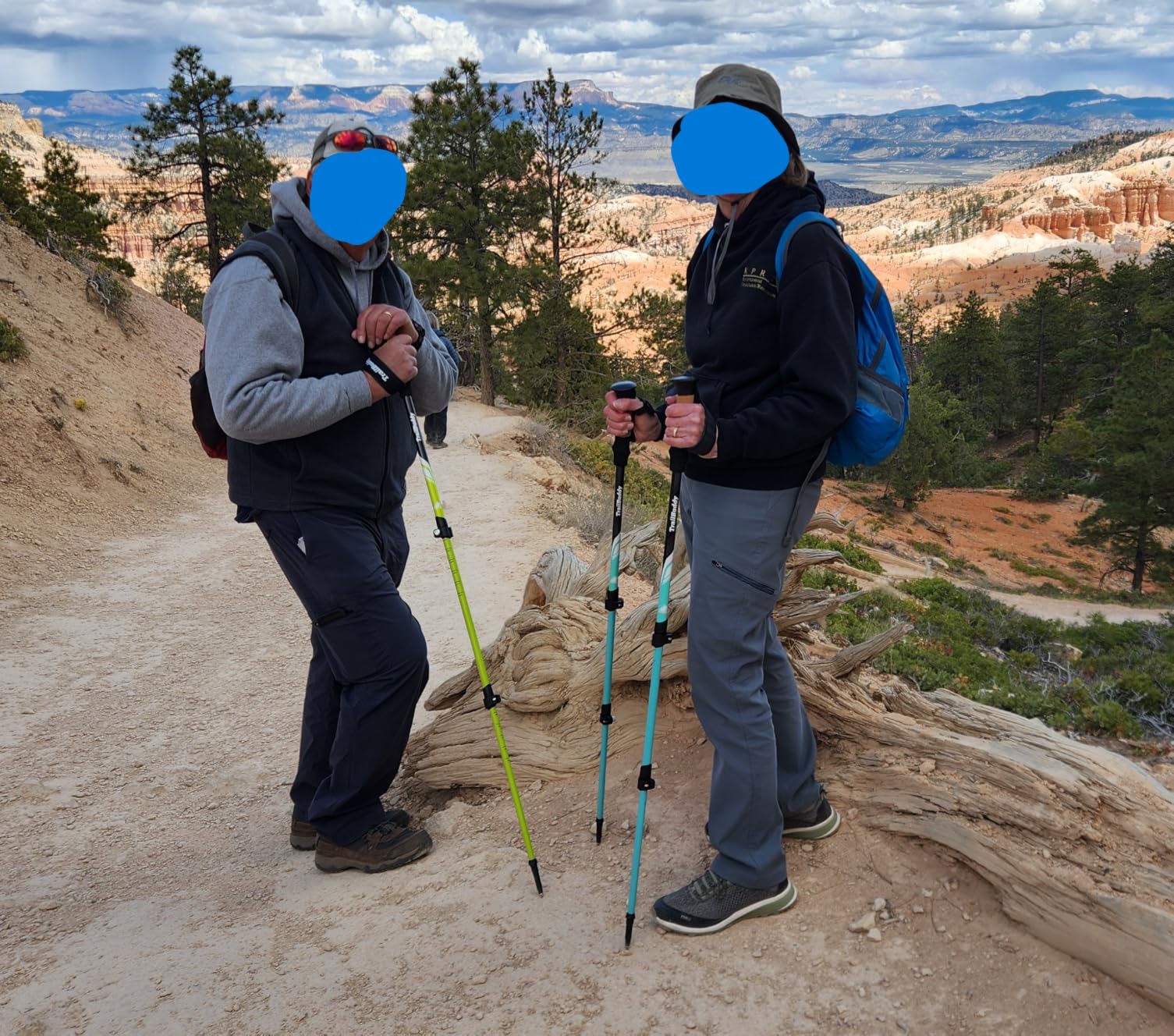 TrailBuddy Trekking Poles - Lightweight 7075 Aluminum Hiking Poles for Women, Men & Seniors - Collapsible Walking Sticks for Travel, Trails & Balance customer photo 2