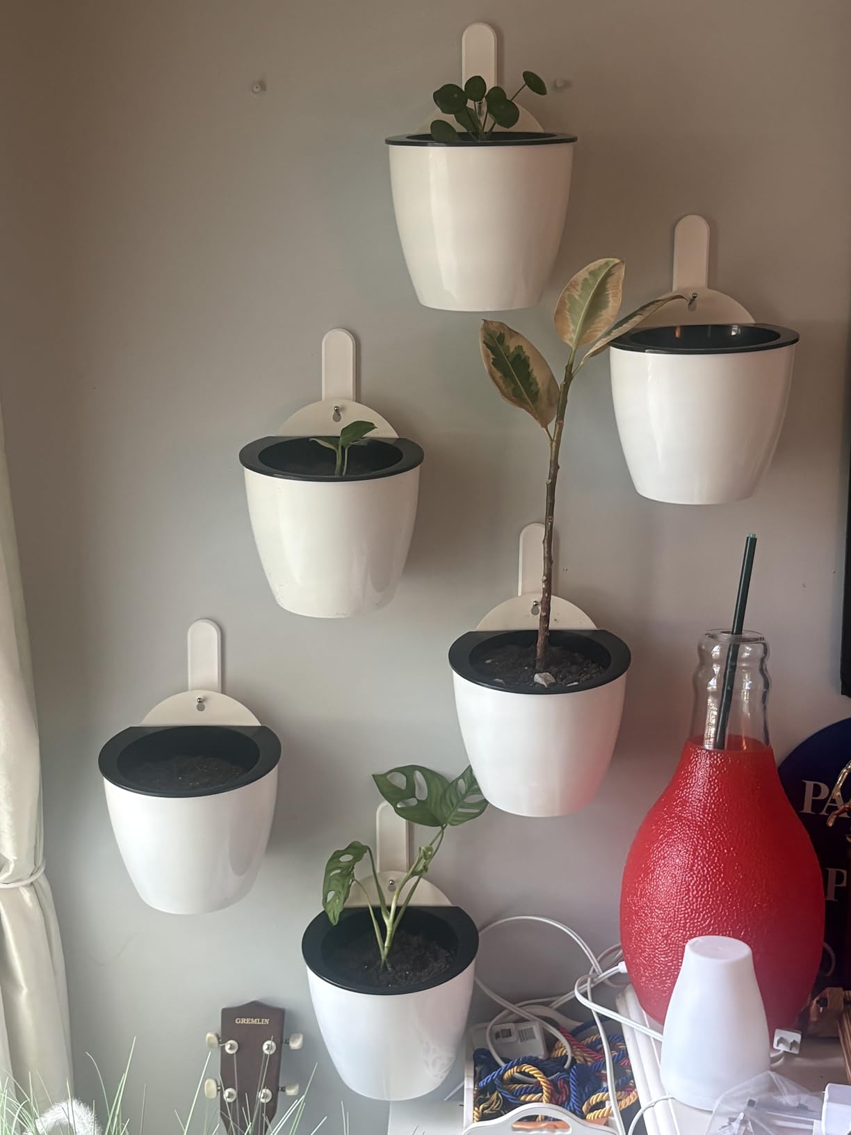 3 Pack Self Watering Wall Hanging Planter Pots Vertical Garden Window Hang Mount Indoor Outdoor customer photo 1