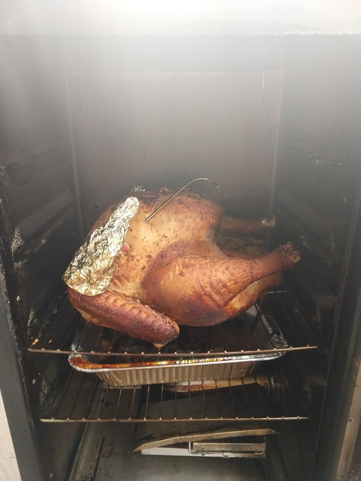 Masterbuilt 30-inch Digital Electric Vertical BBQ Smoker with Side Wood Chip Loader, 710 sq in, Model MB20071117 customer photo 1