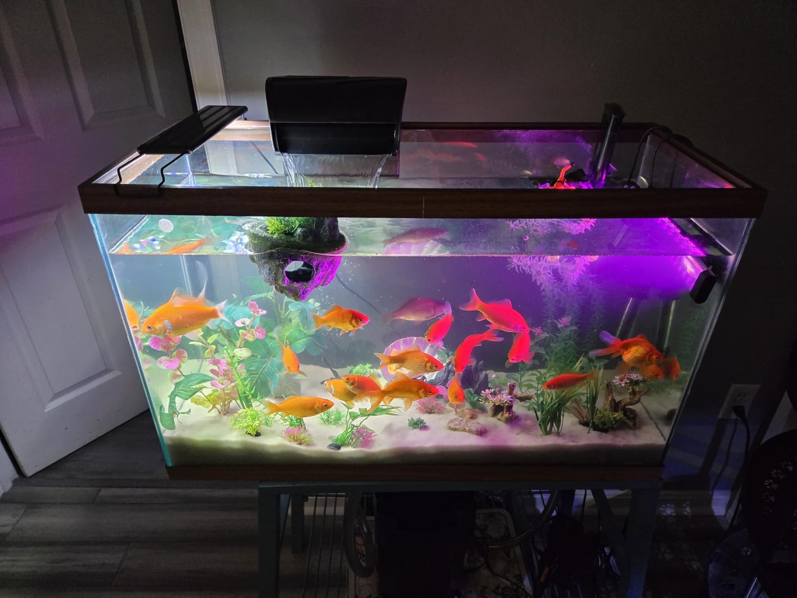 Aqueon QuietFlow Canister Aquarium Filter, Up to 150 Gallons (ECOM) customer photo 2