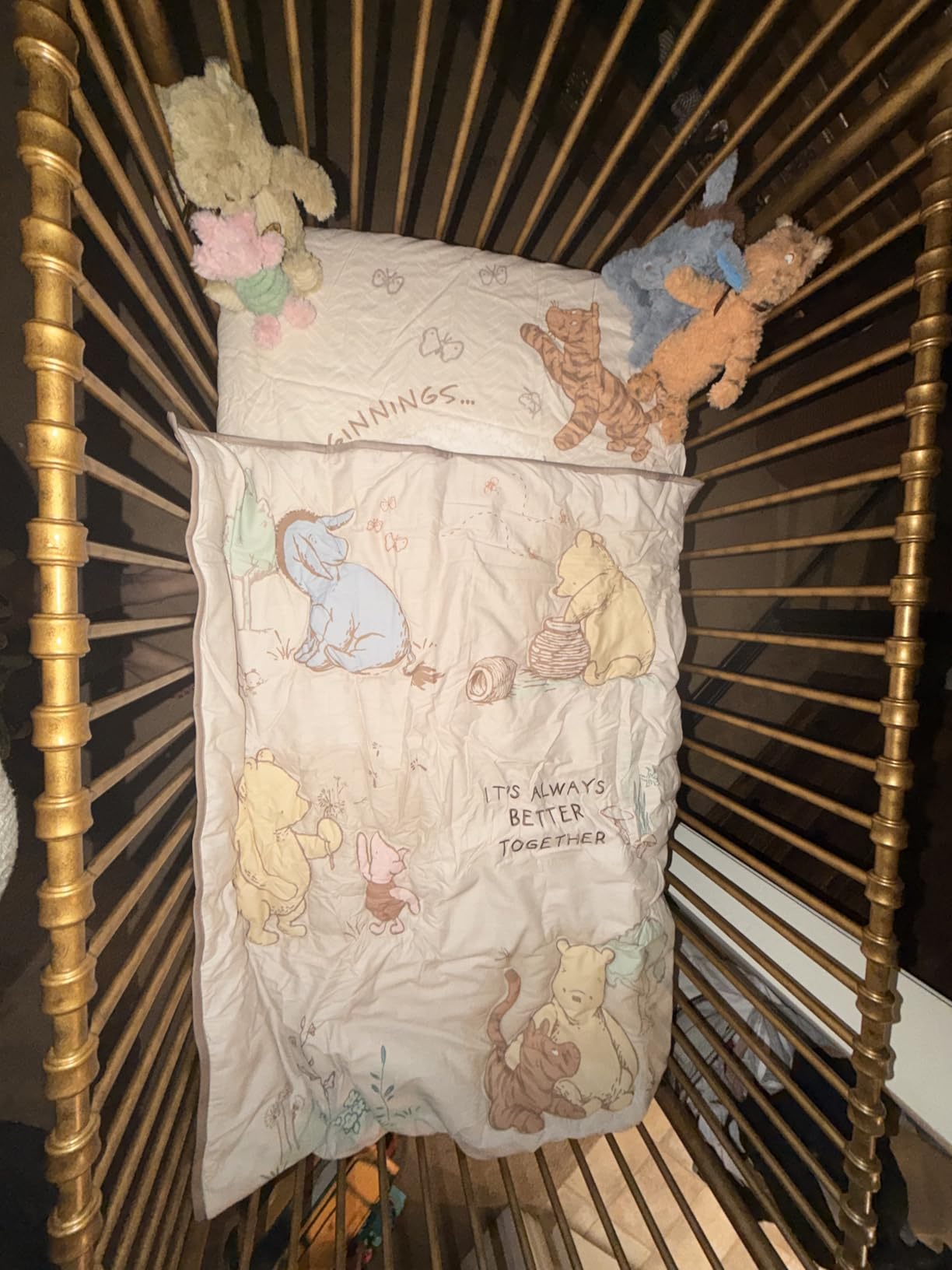 NAMESAKE Abigail 3-in-1 Convertible Baby Crib Gold | GREENGUARD Gold Certified, Converts to Toddler Bed & Daybed, 4 Adjustable Mattress Heights, Conversion Kits Sold Separately customer photo 2
