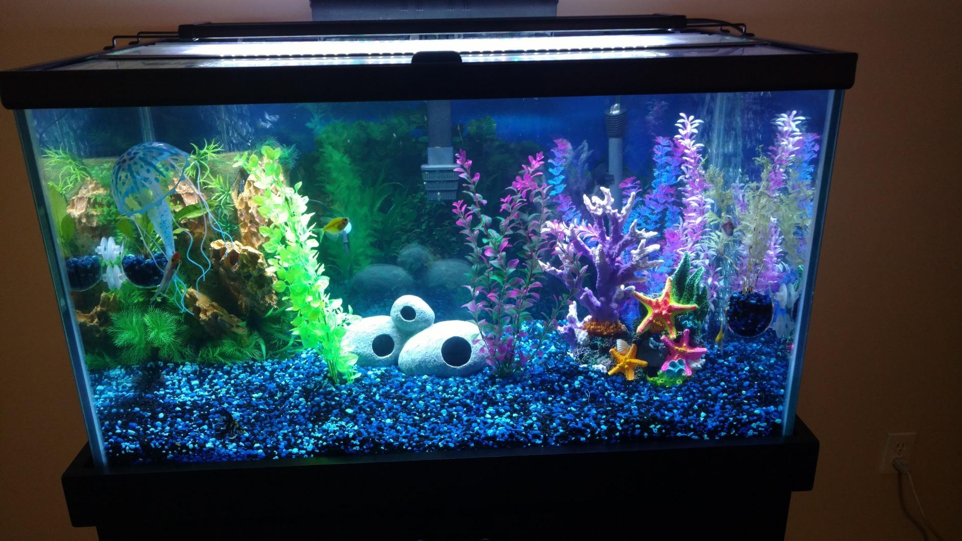 Aqueon Pro 300 Submersible Fish Tank Heater, 300 Watts customer photo 1