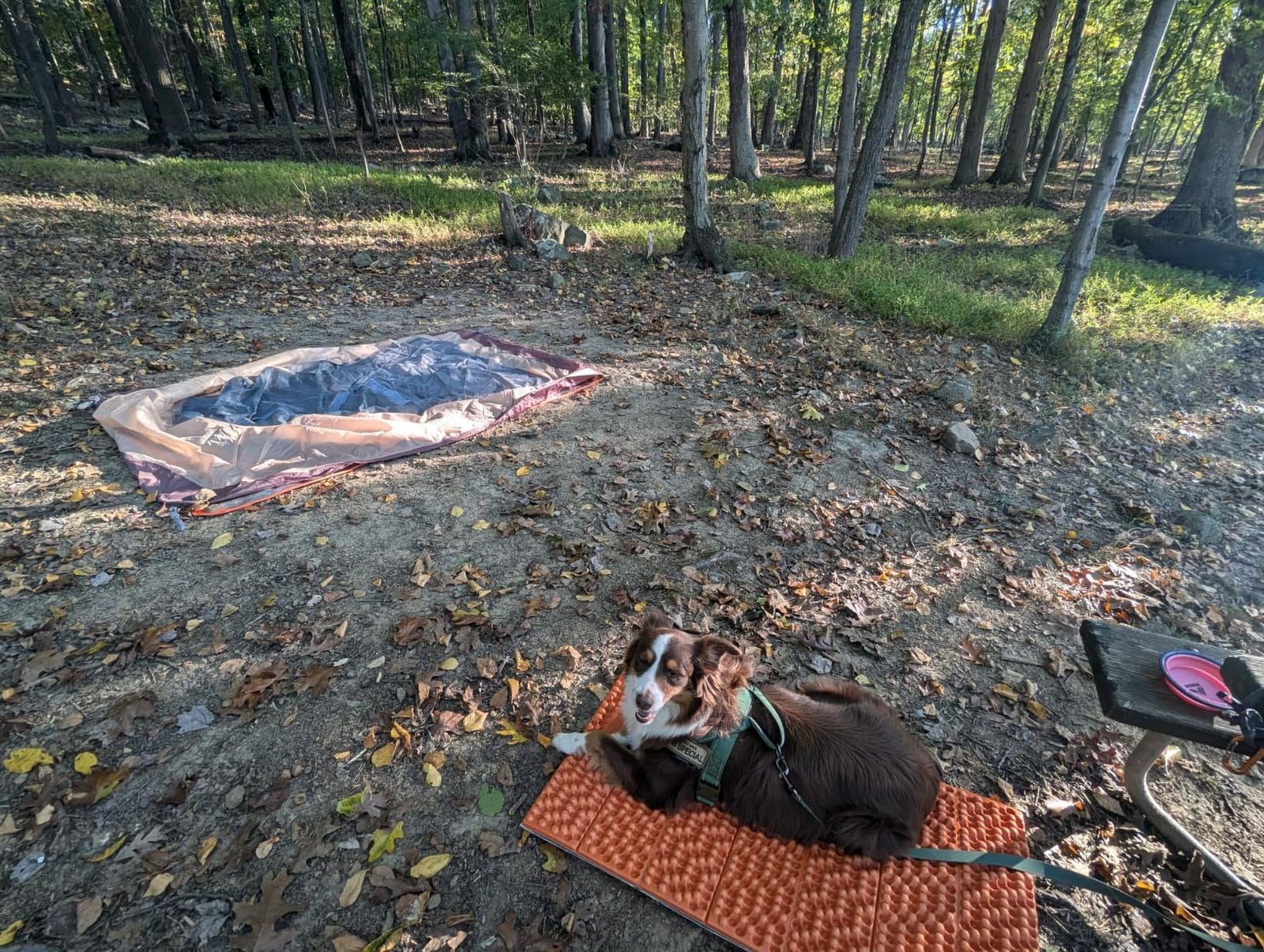 NEMO Equipment Switchback Foam Sleeping Pad customer photo 1
