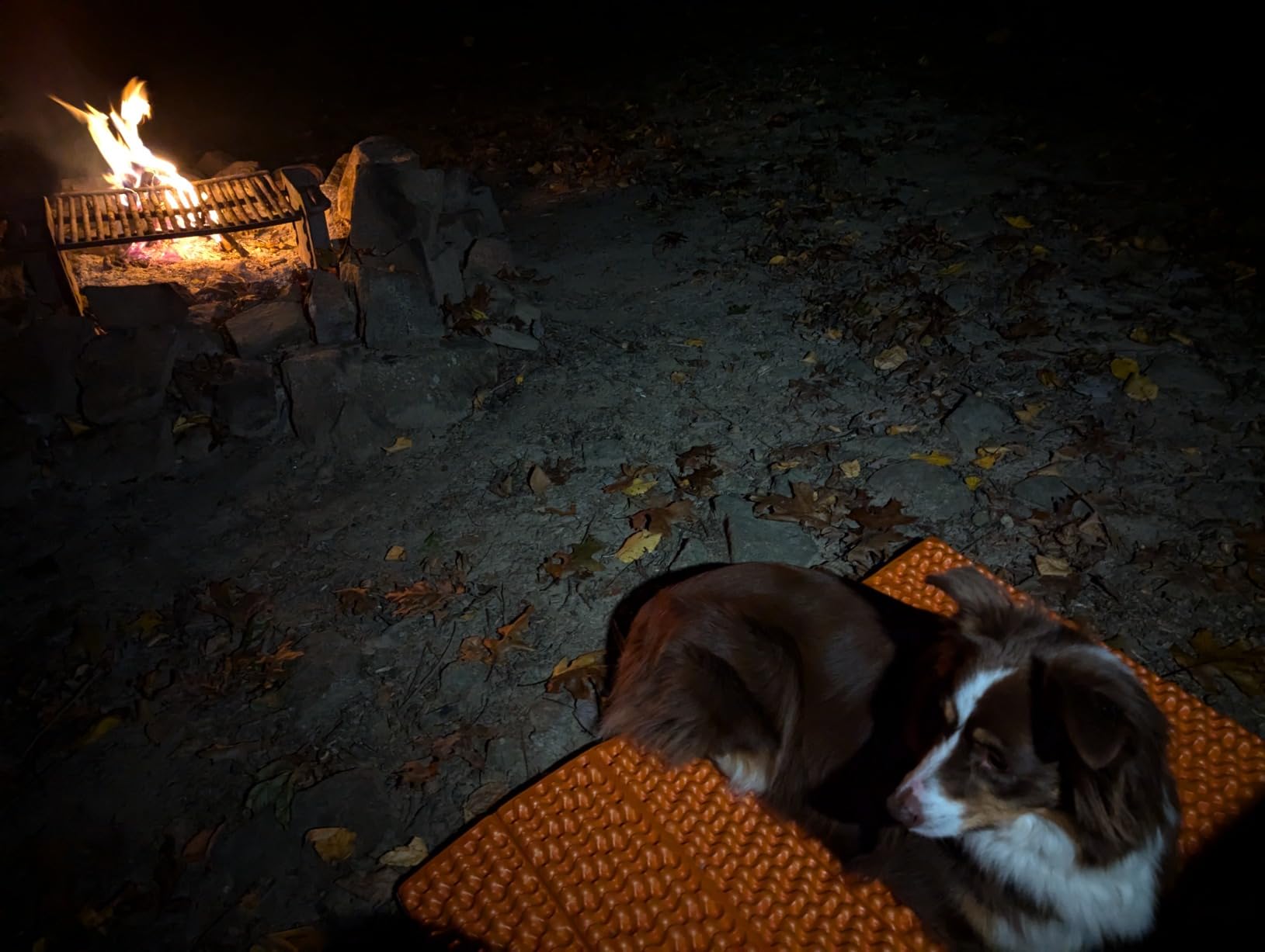 NEMO Equipment Switchback Foam Sleeping Pad customer photo 2
