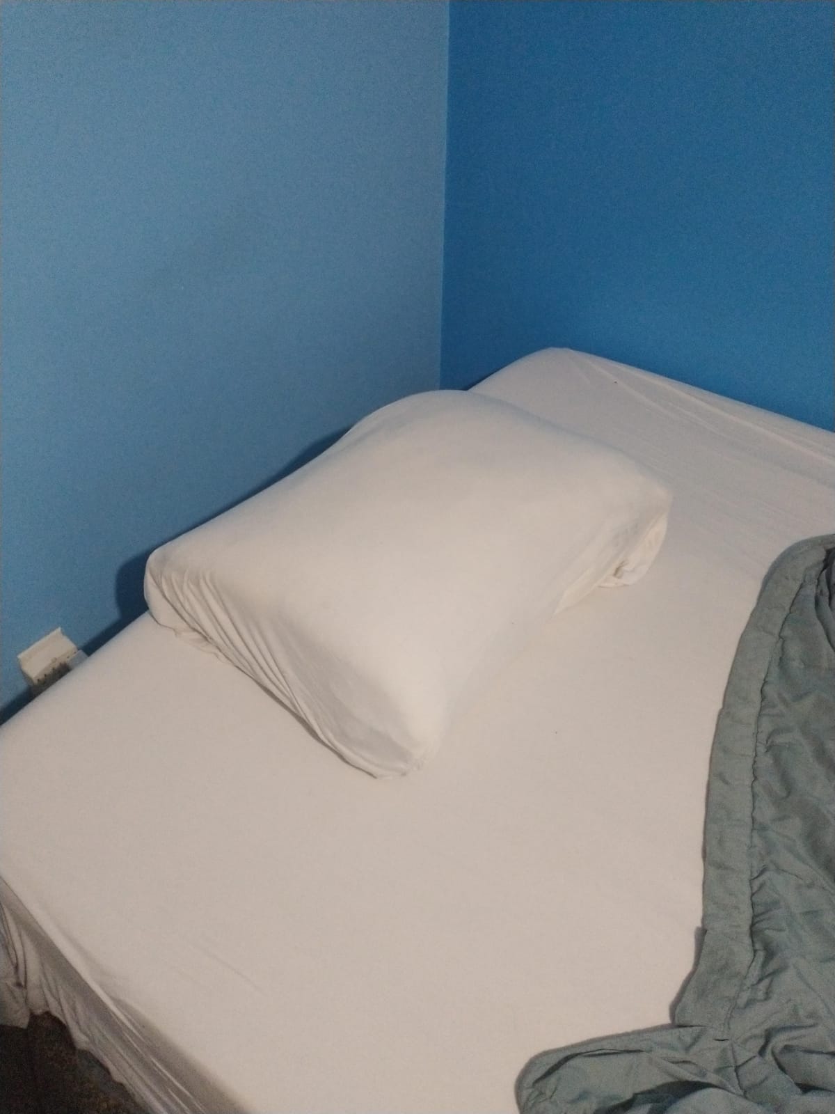 Casper Sleep Original Pillow - Standard Down-Alternative Bed Pillow | Supports Side, Back & Stomach Sleepers, Neck Pain Relief, Machine Washable, Breathable Cotton Cover customer photo 2