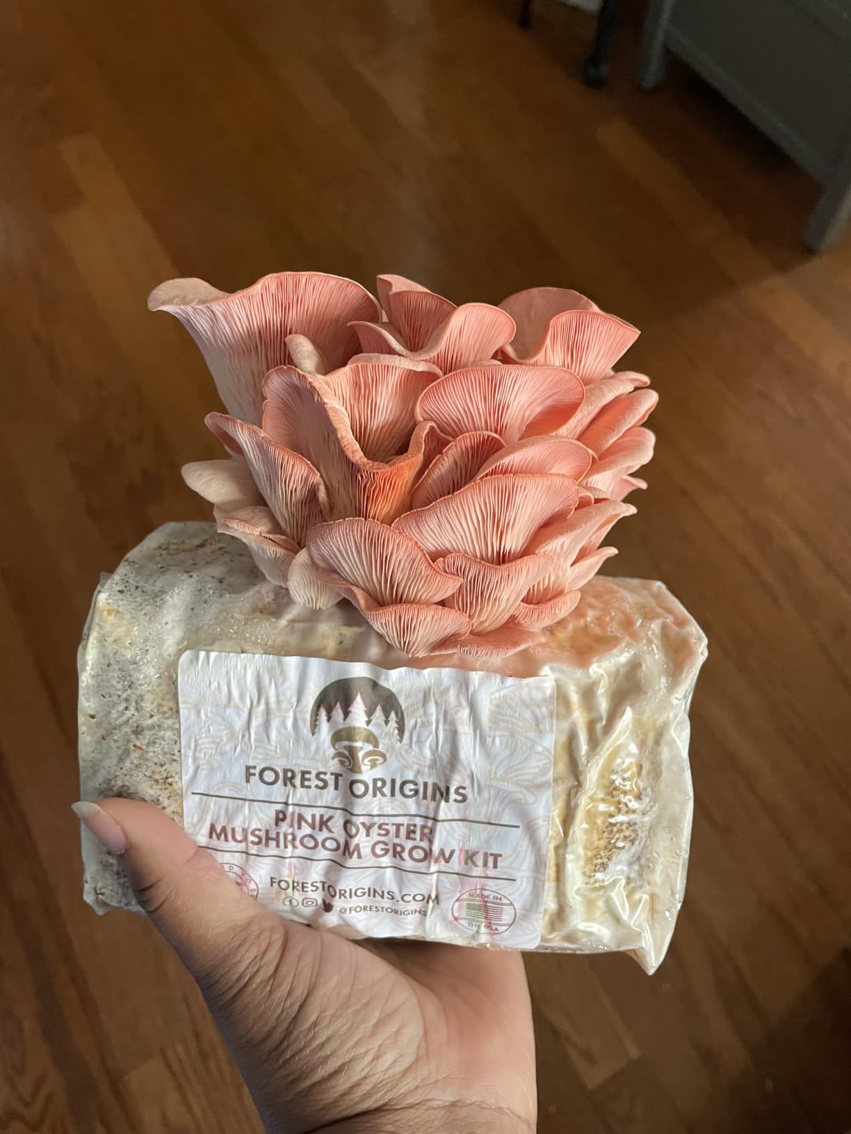 Forest Origins Specialty Trio Oyster Mushroom Kits, Pink Brown White 3-Pack | Three beginner-friendly kits turn simple daily care into fresh homegrown harvests, usually in about 10 days. customer photo 2