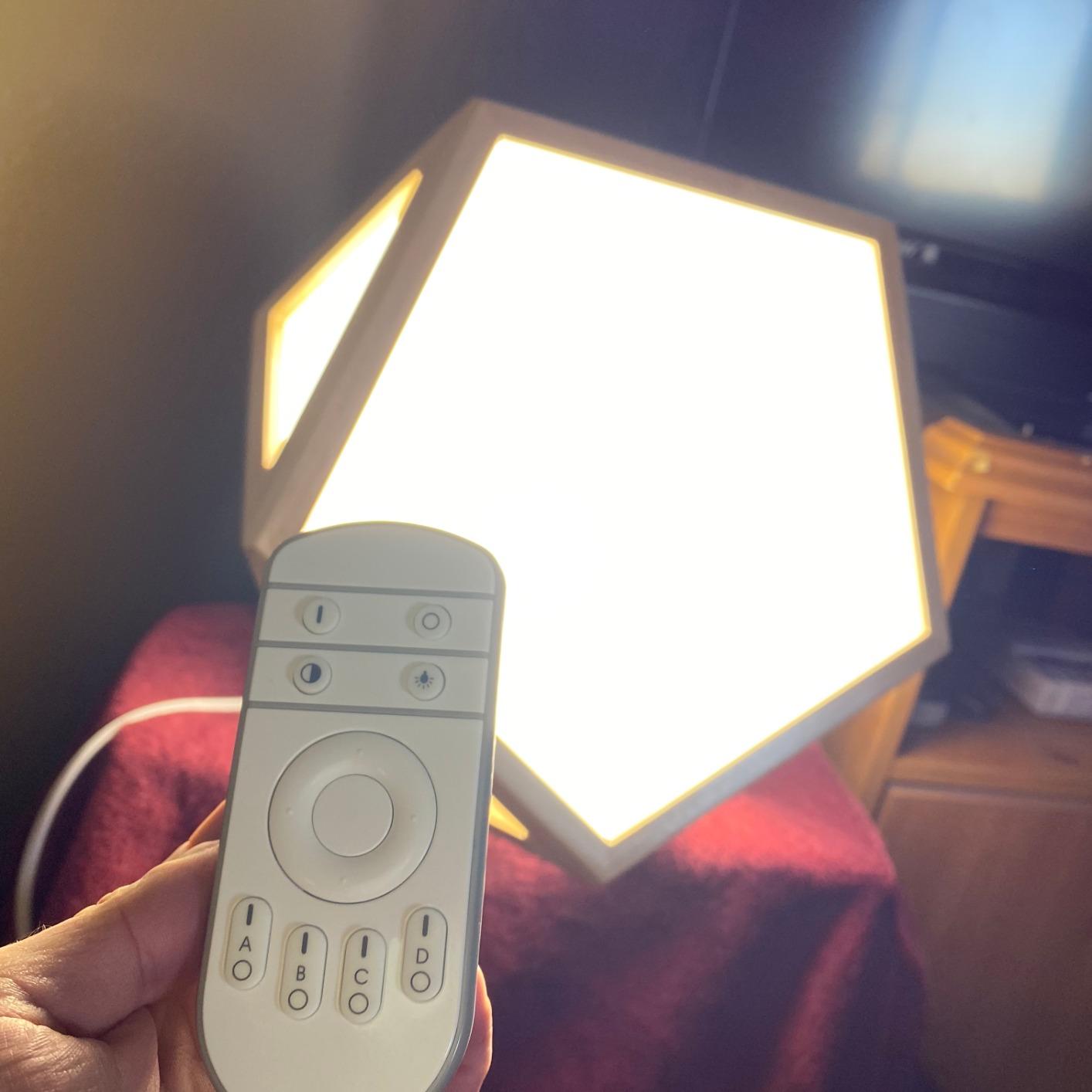DayBright Light Therapy Lamp Full Spectrum, 10,000 LUX, UV-Free, Full Size, Adjustable, Happy Sun Lamp, Sunlight Lamp for Daylight Feelings - Crafted from Solid Wood customer photo 1