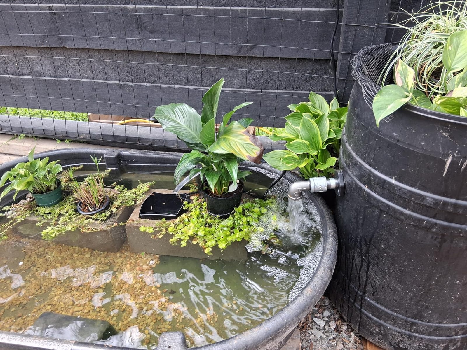VIVOSUN 800GPH Submersible Fountain Water Pump for Pond, Aquarium, Statuary | 3000L/H, 50W, Ultra Quiet Water Pump with 10ft. High Lift and 6.5ft. Power Cord, 3 Nozzles for Hydroponics, Green customer photo 2