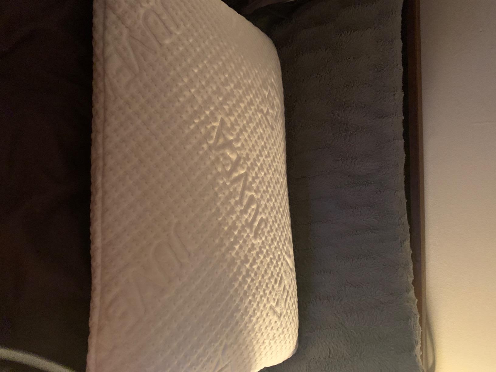 JUVEA Elevate High-Profile Latex Pillow, Organic Cotton Cover | Natural Talalay latex maintains shape & buoyancy for side/hybrid sleepers - OEKO-TEX Class 1 baby-safe, vegan, made in USA customer photo 1