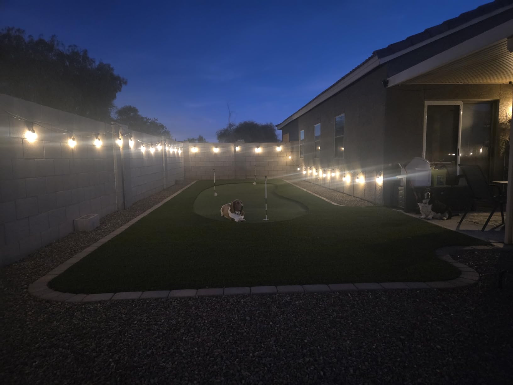 addlon LED Outdoor String Lights 48FT Edison Vintage Weatherproof ETL | Commercial Grade Strand with Shatterproof Bulbs, Decorative Hanging Lights for Patio Backyard Garden Cafe Bistro Deck customer photo 1