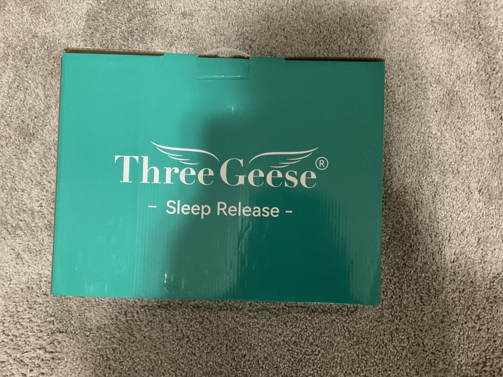 Three Geese Pinch Pleat Waterfowl Feathers and Down Comforter Queen Size Duvet Insert, 750+ Fill Power, 1200TC 100% Cotton, Premium All Seasons White Warm Hotel Comforter with 8 Tabs customer photo 1