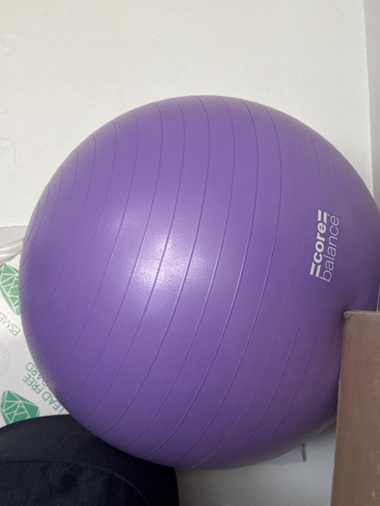 Core Balance Exercise Ball, Stability Ball for Yoga, Pilates and Fitness, Gym Ball for Home Gym and Office Chair, Training, Physical Therapy, Anti Burst, Pump Included, 55cm 65cm 75cm 85cm customer photo 1