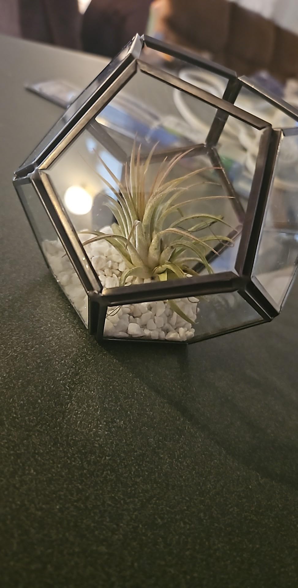 Mkono 3 Pack Geometric Glass Terrarium, 4