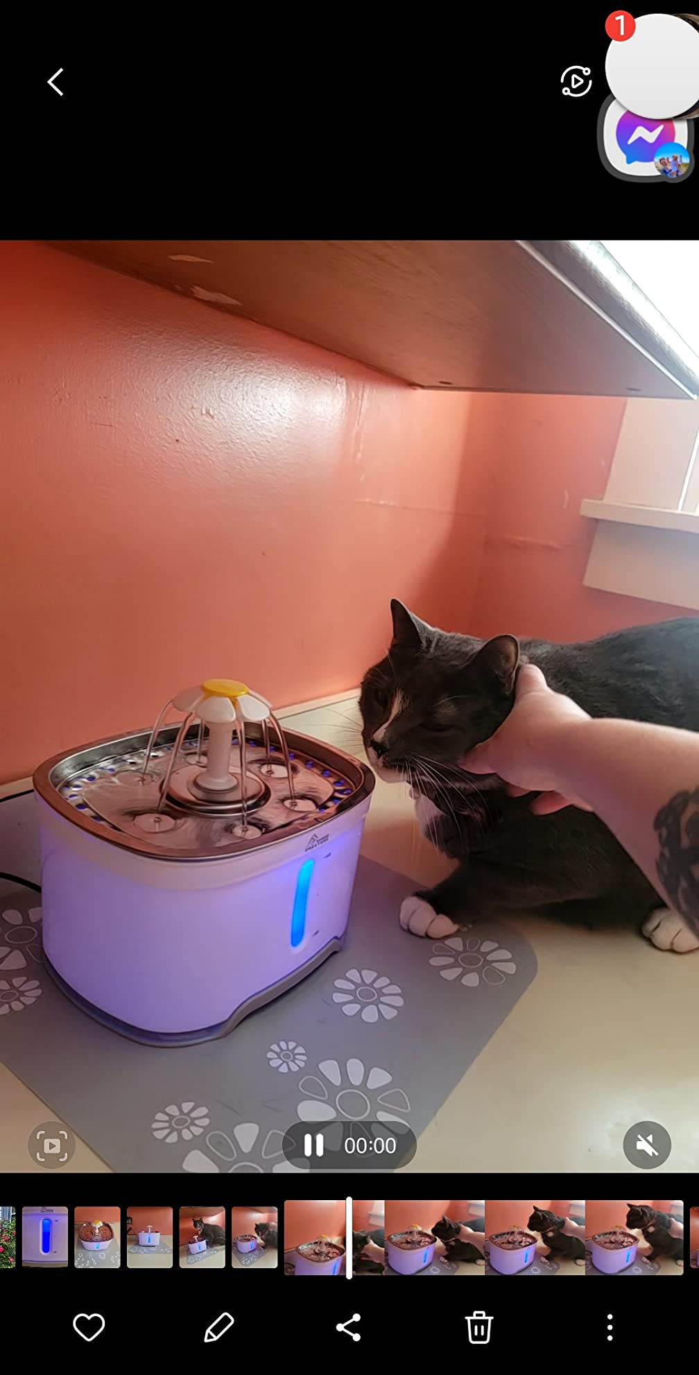 Wonder Creature Cat Water Fountain Stainless Steel Lid 81oz/2.4L-3 Filters | Pet Fountain with 3 Carbon Filters, 1 Mat, Quiet pump, LED Water Level Window, BPA-Free Stainless Steel Lid customer photo 1