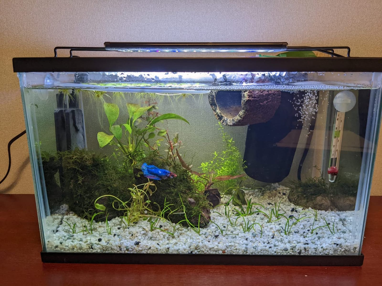 AQUANEAT LED Aquarium Light Full Spectrum 17 Inch Light Body with Extendable Brackets for 18 Inch to 24 Inch Fish Tank Light Fresh Water customer photo 1