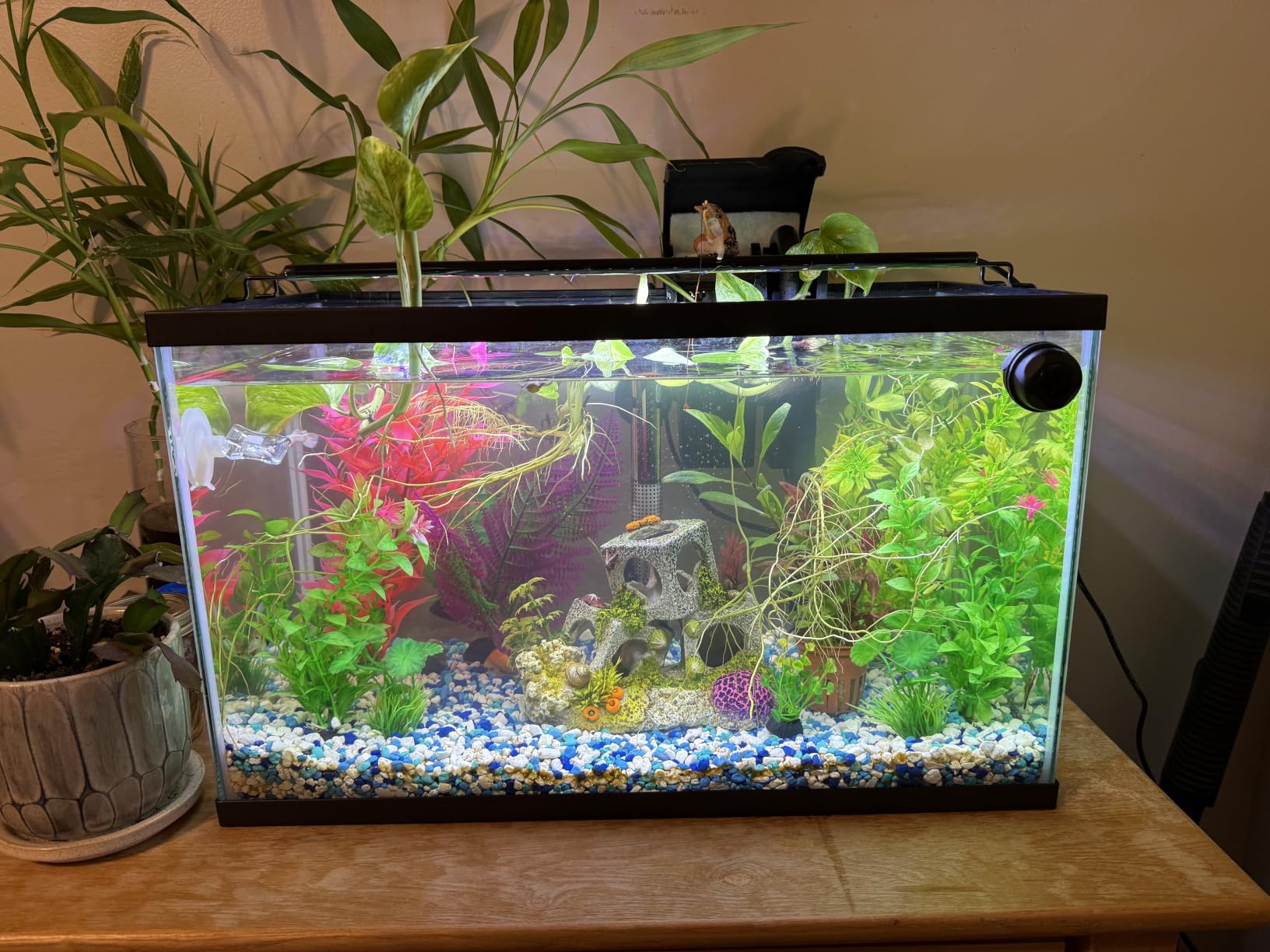 AQUANEAT LED Aquarium Light Full Spectrum 17 Inch Light Body with Extendable Brackets for 18 Inch to 24 Inch Fish Tank Light Fresh Water customer photo 2
