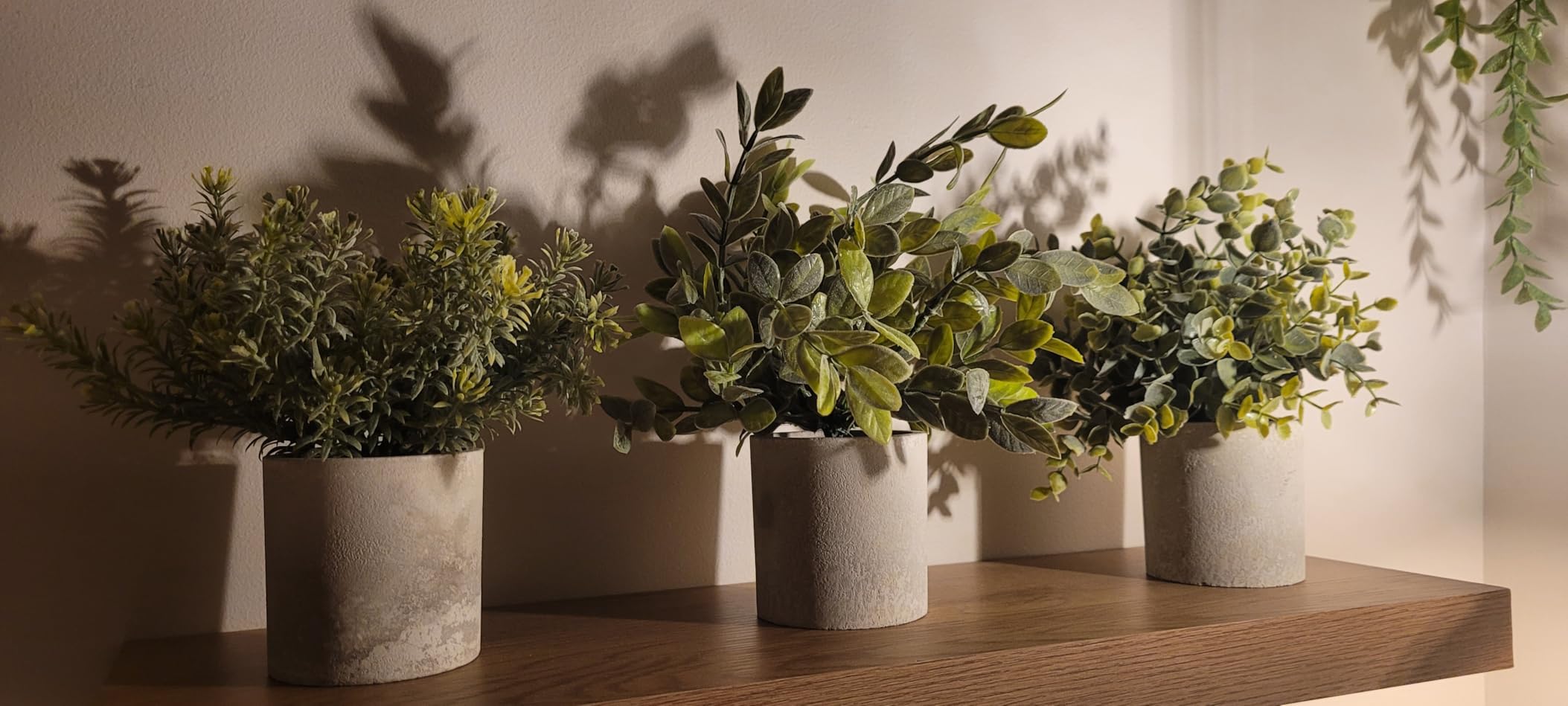 Der Rose 3 Pack Fake Plants Artificial Plants for Office Bathroom Decor | Sage green frosted eucalyptus, pet and child safe, maintenance-free, desk shelf kitchen bedroom coffee table farmhouse decor customer photo 1
