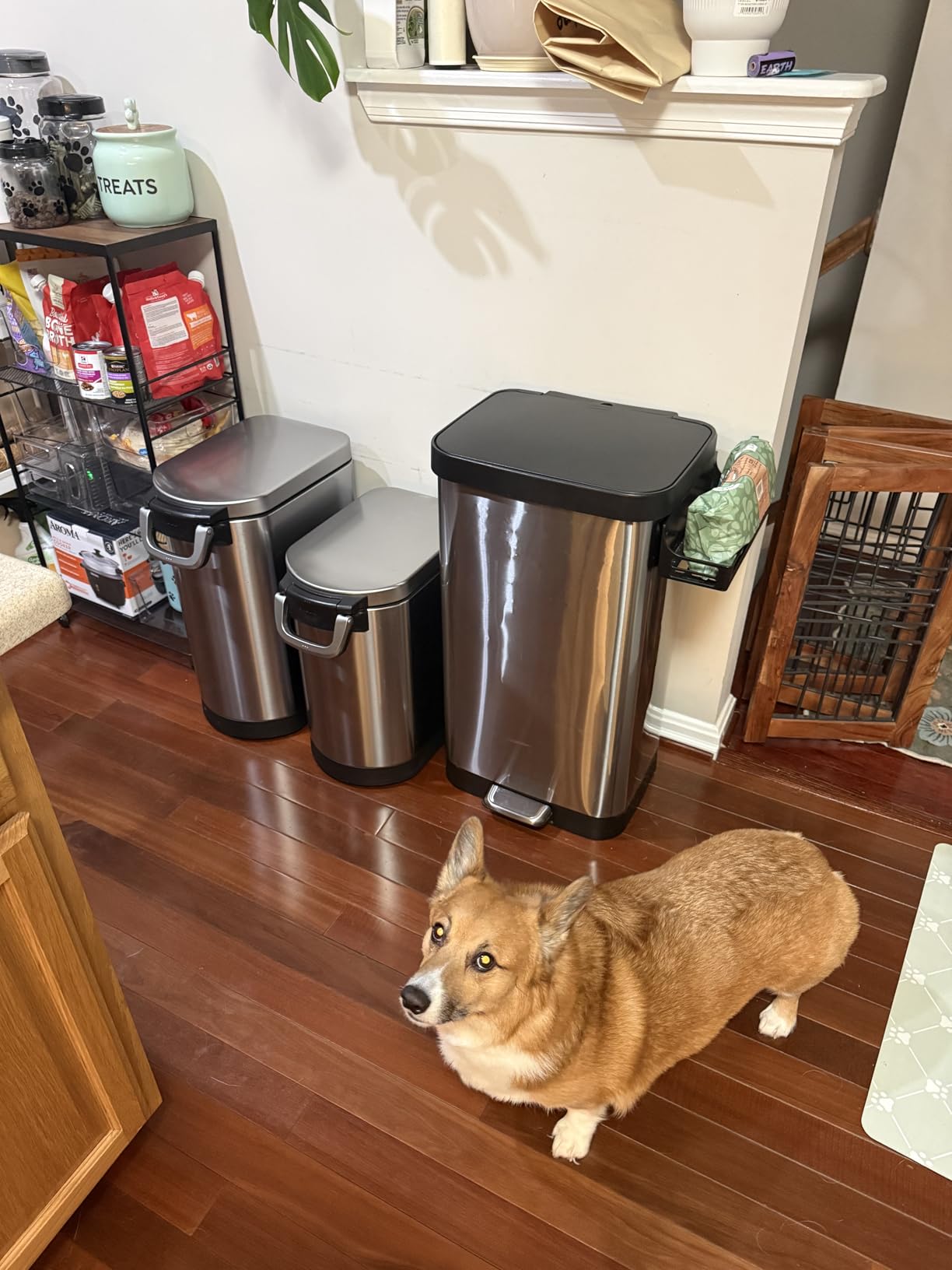 Glad Stainless Steel Trash Can with Clorox Odor Protection, 20 Gal, Pewter | Odor Protection | Large Metal Kitchen Garbage Bin w/ Soft Close Lid, Garbage Bag Rings, Step On Foot Pedal and Waste Bag Roll customer photo 2