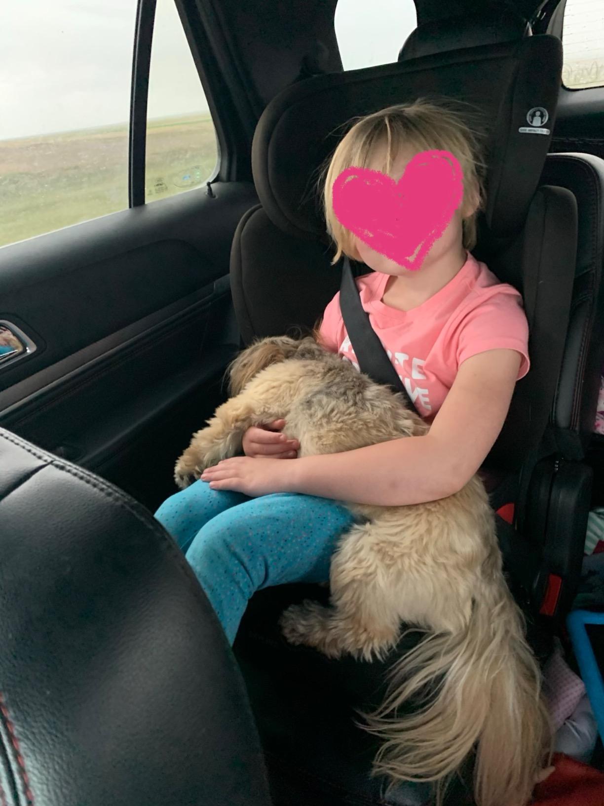Britax Skyline 2-Stage Belt-Positioning Booster Car Seat, Dusk customer photo 1