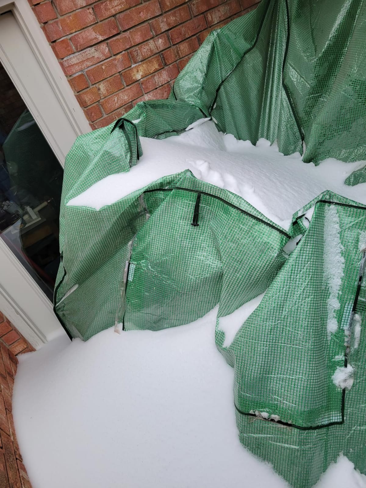 EAGLE PEAK 8x6 Easy Setup Pop Up Greenhouse, Clear/Green | Walk-In Greenhouses for Outdoors, Green House for Winter Protection, Roll-Up Doors & Mesh Windows, One Person Setup customer photo 1