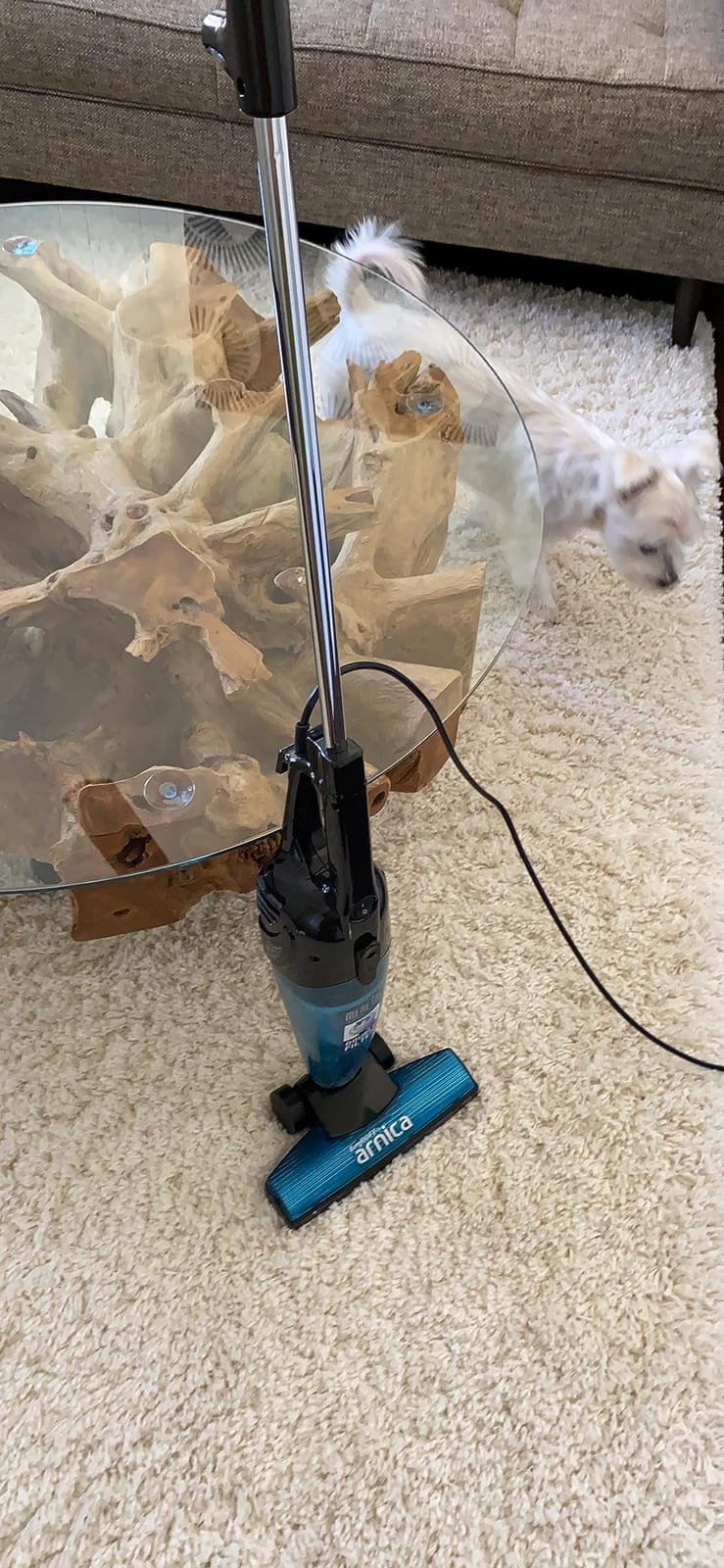 Berghoff Merlin All-in-One Corded Stick Vacuum, Detachable Handheld, Blue | Handheld Vacuum with Tools for Hardwood Floors, Carpet & Stairs, Bagless Canister, Washable Textile Filter, 18ft Cord customer photo 1