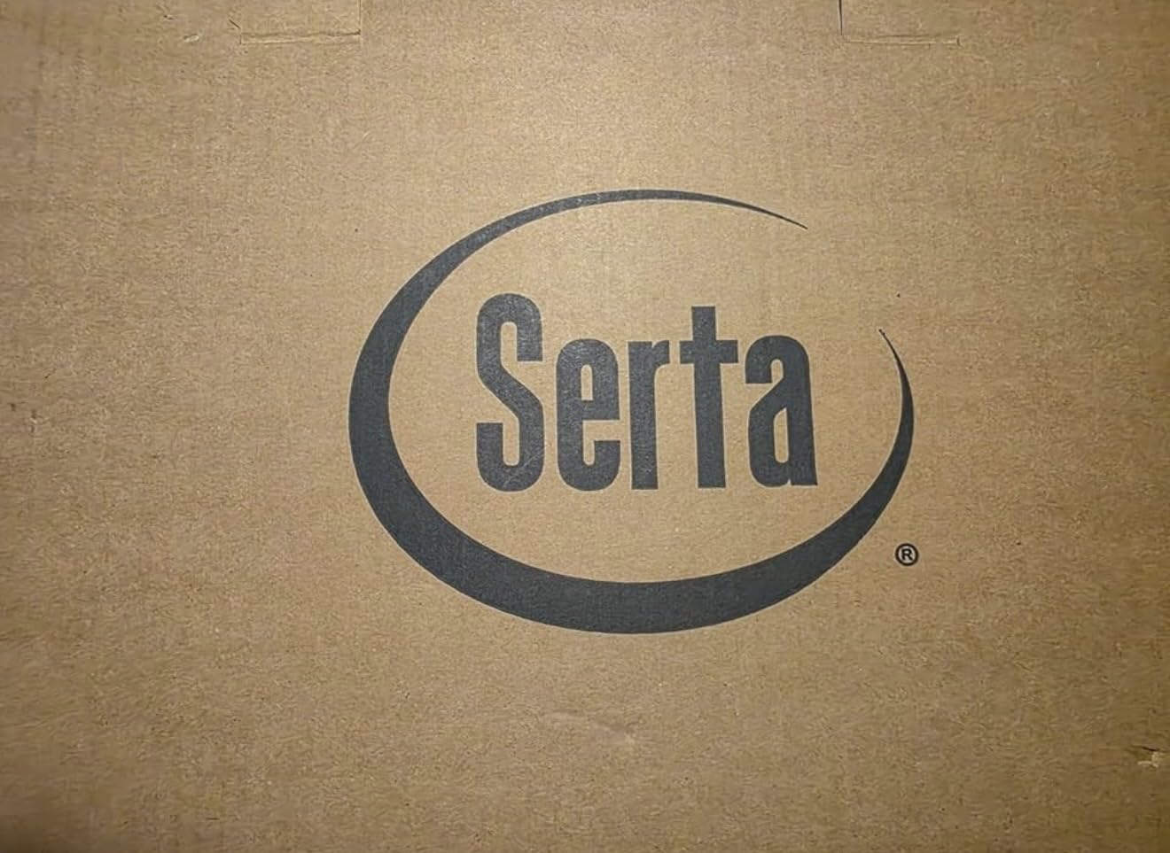 Serta Goose Feather Down Fiber Comforter Queen Size - 100% Cotton Cover Duvet Insert - Hotel Luxury Hypoallergenic Bedding Comforter All Season Medium Warmth 90 x 90 Inch White customer photo 2